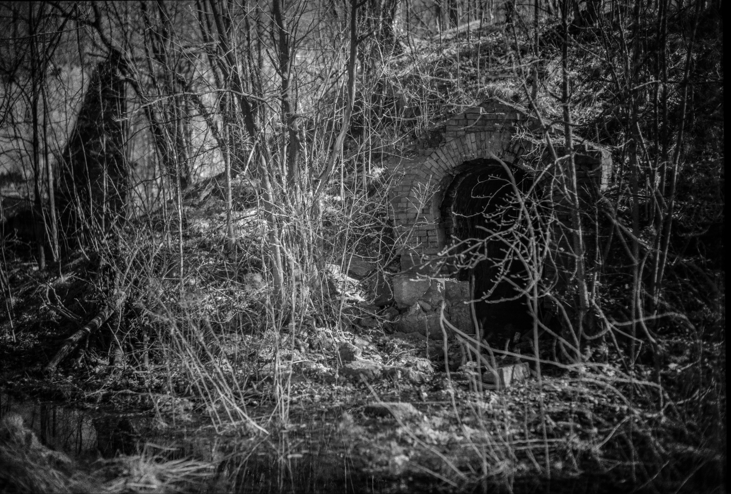 Весенняя Красногвардейская пастораль. Роман Ходырев — художник, фотограф, музыкант, эзотериолог. Санкт-Петербург, Рига