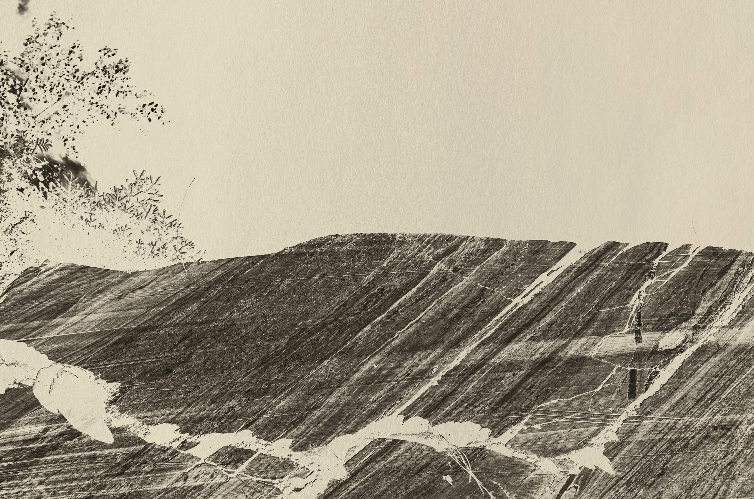 Купить. Visual artist