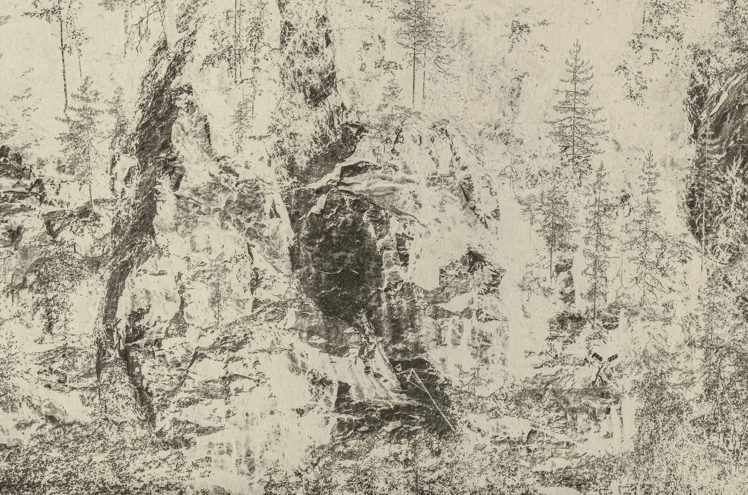 Купить. Visual artist