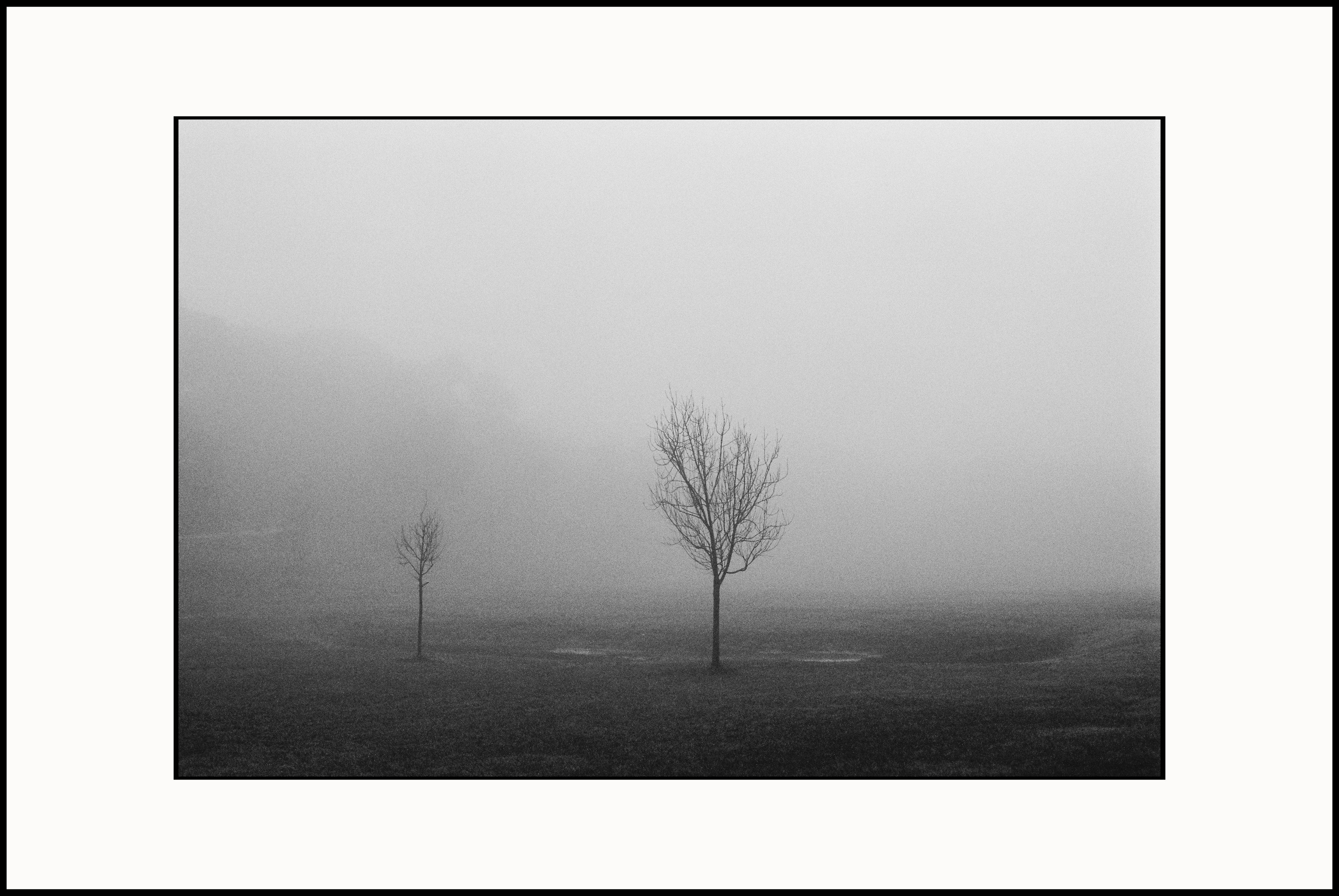 Prints. Katya Zimina, film photographer based in Lisbon, Portugal