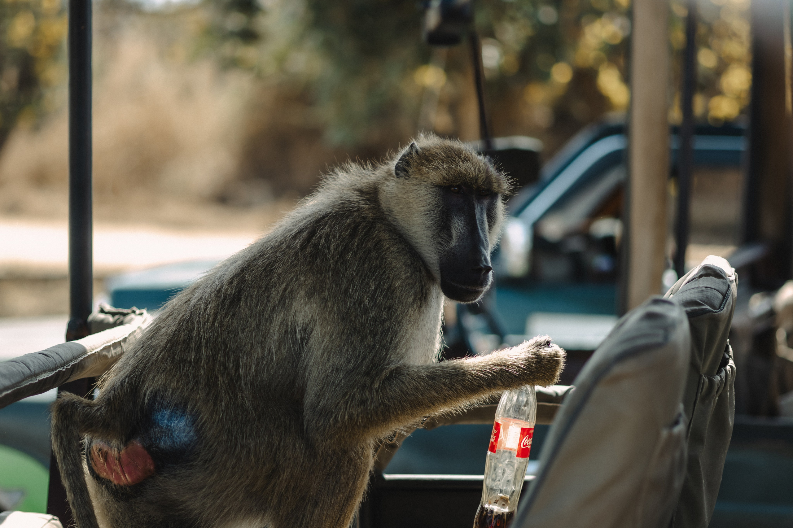 Фотограф Николай Шевченко
