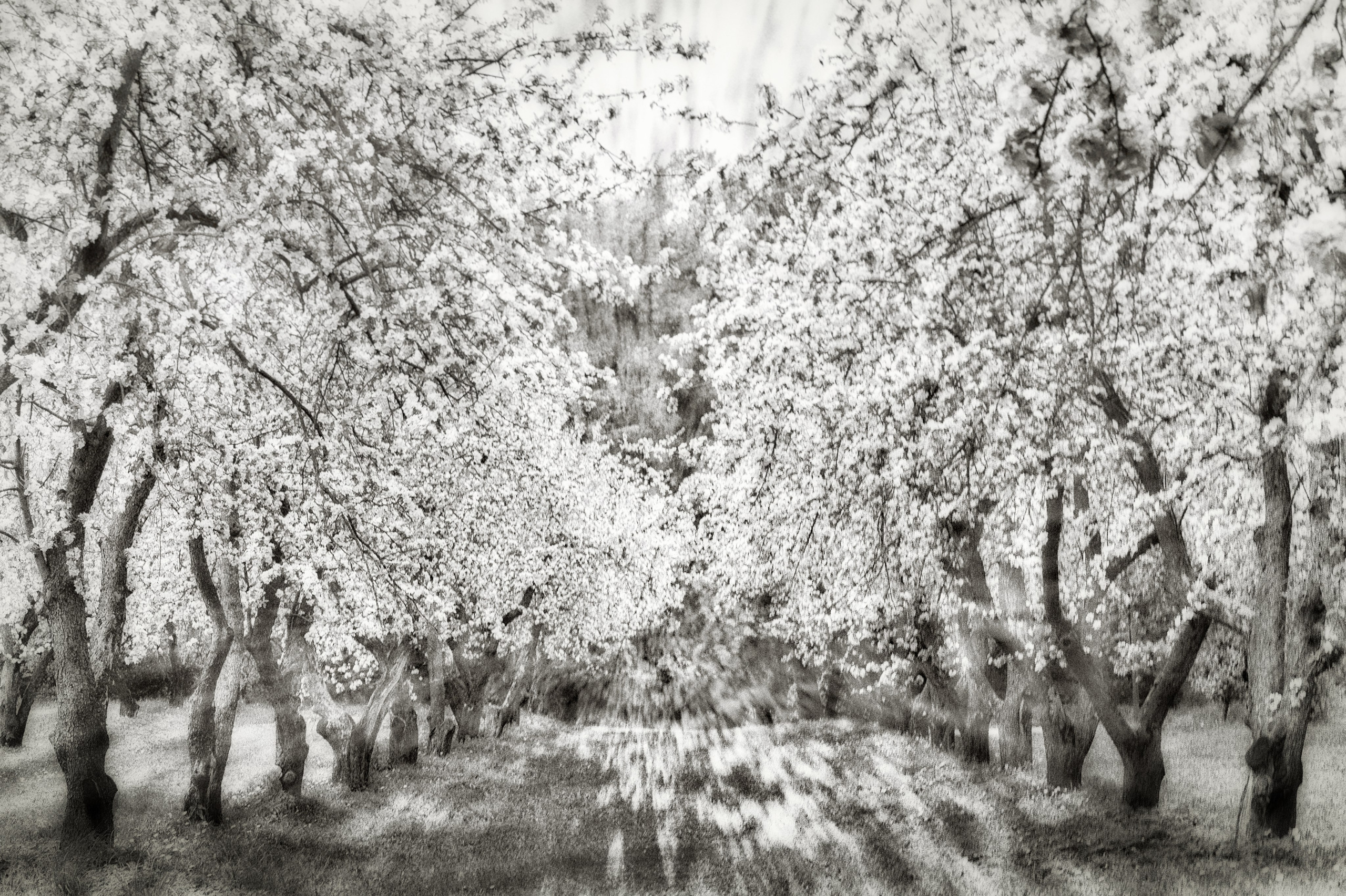 Интерьерная фотография. Фотограф Ольга Дунаева