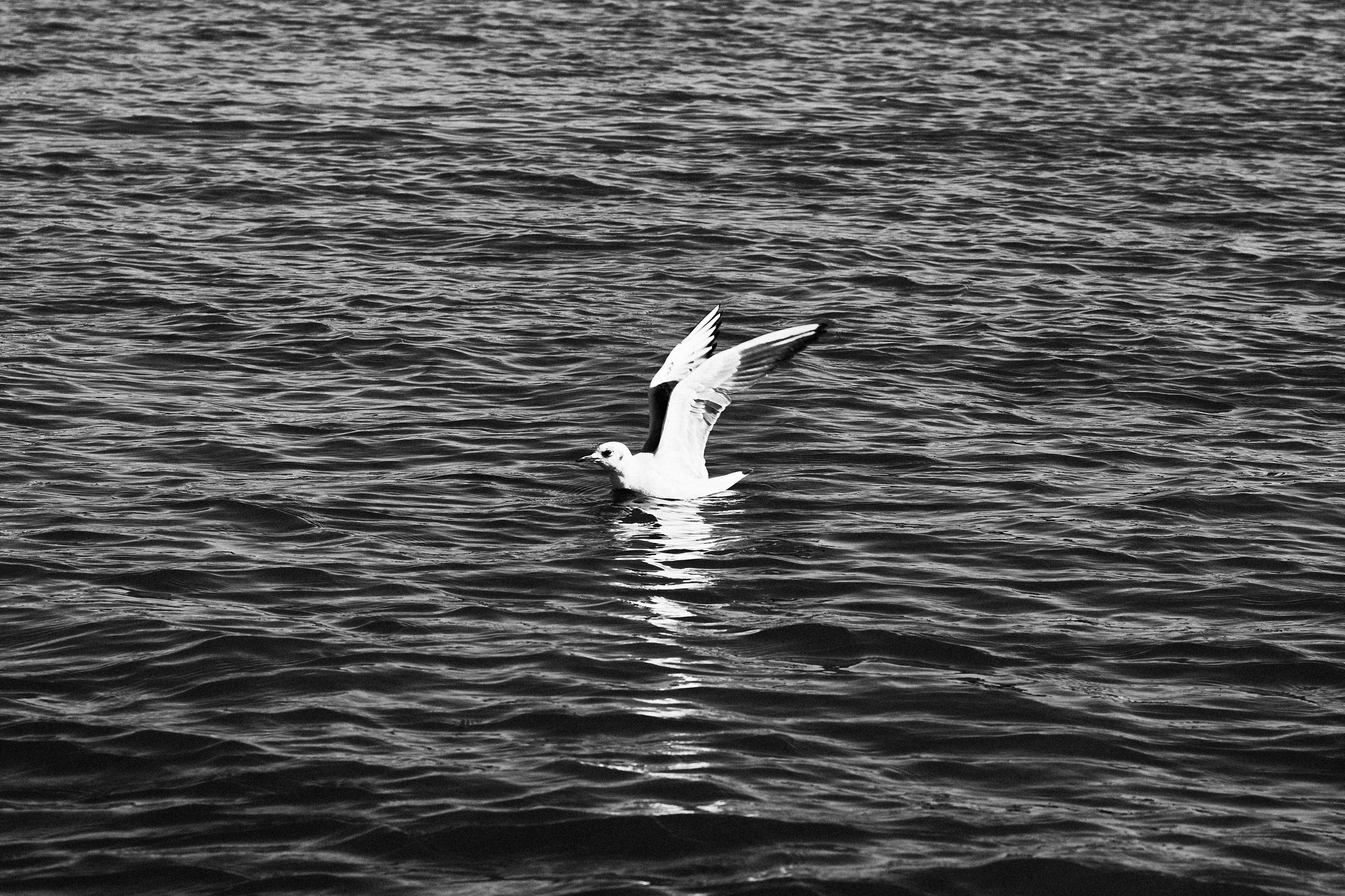 Калининград. Фотограф в Москве Анастасия Баева