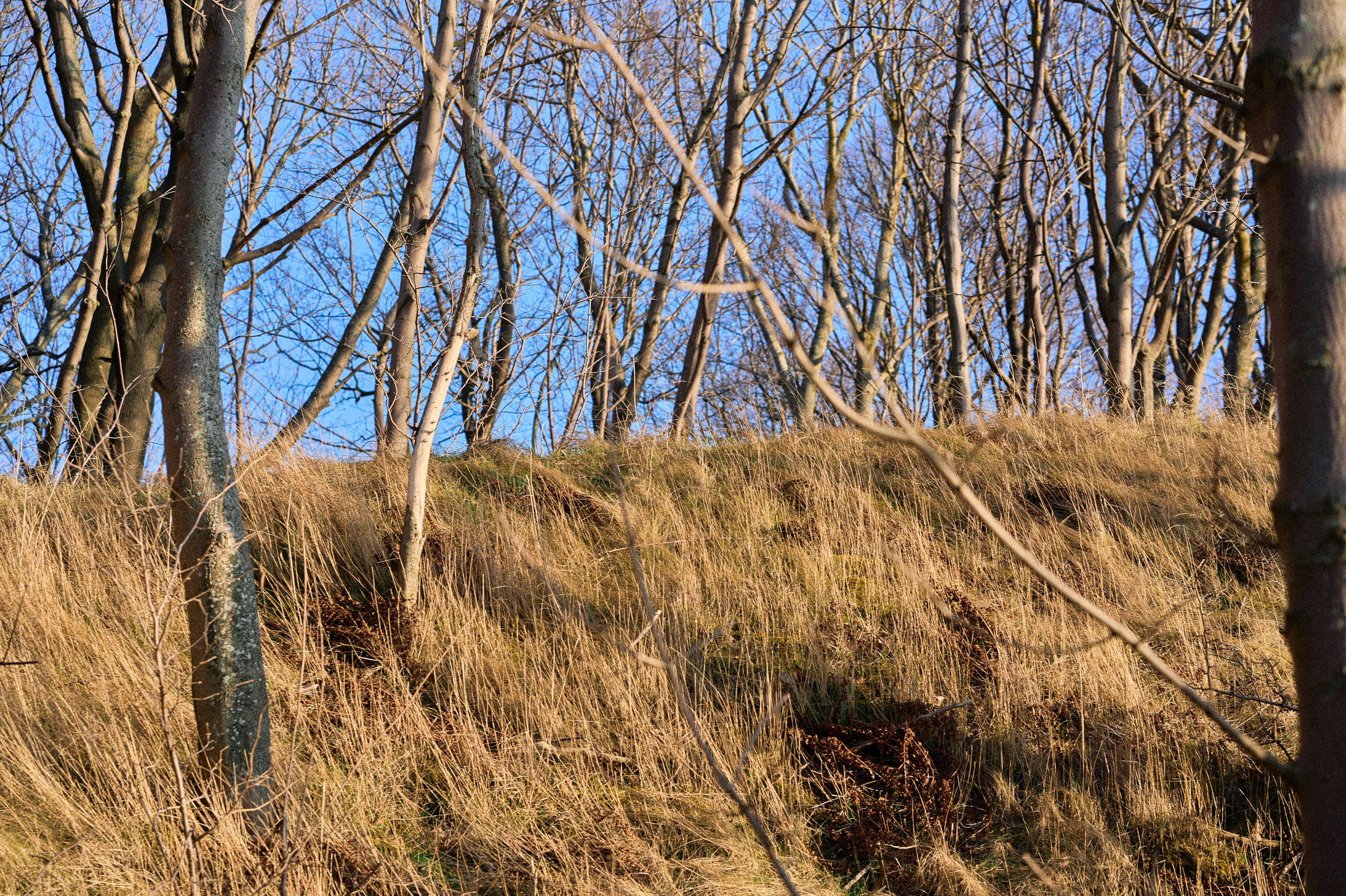 Янтарный. Фотограф в Москве Анастасия Баева
