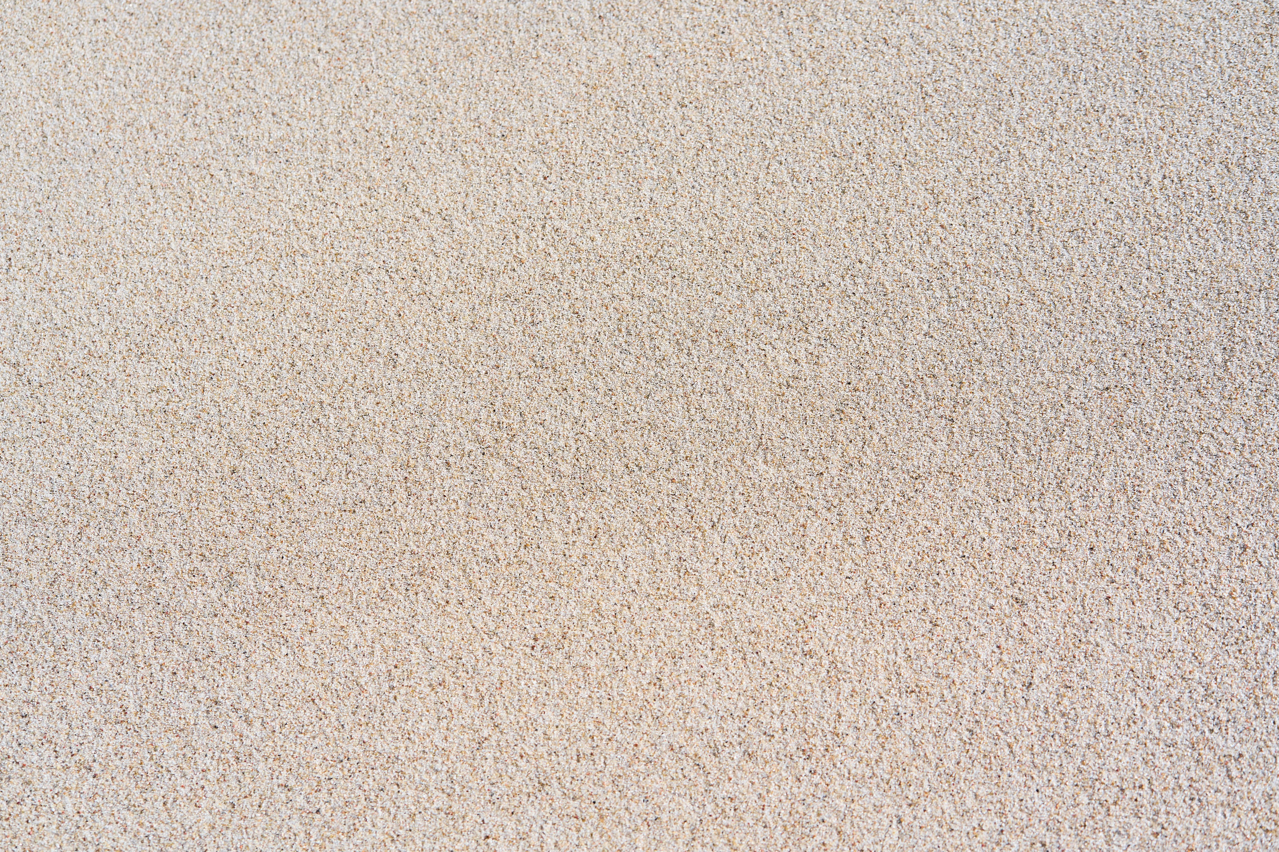 Зеленоградск. Фотограф в Москве Анастасия Баева