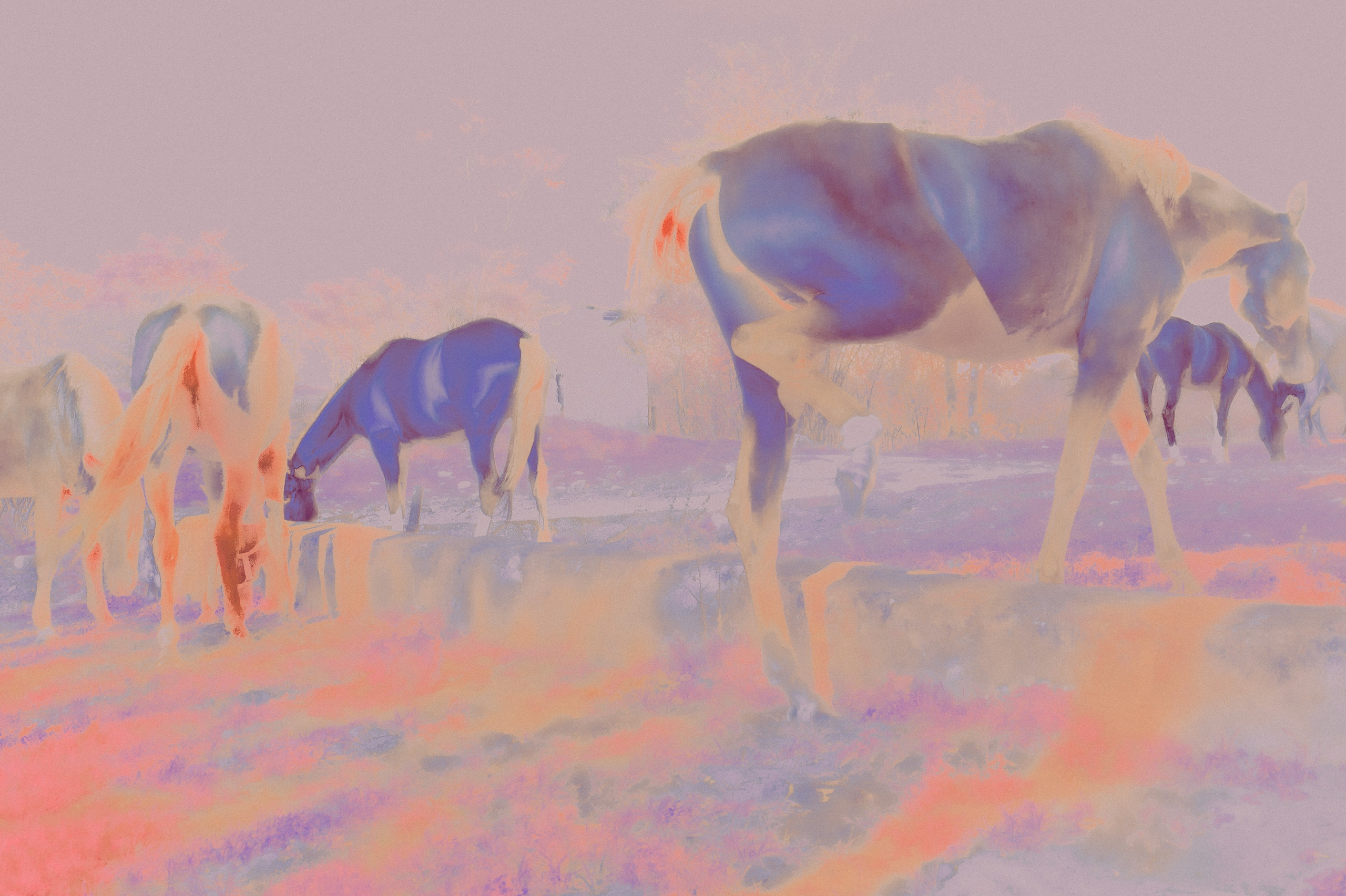 ХРАНИТЕЛИ. Фотограф, визуальный артист Наташа Солнцева, Москва