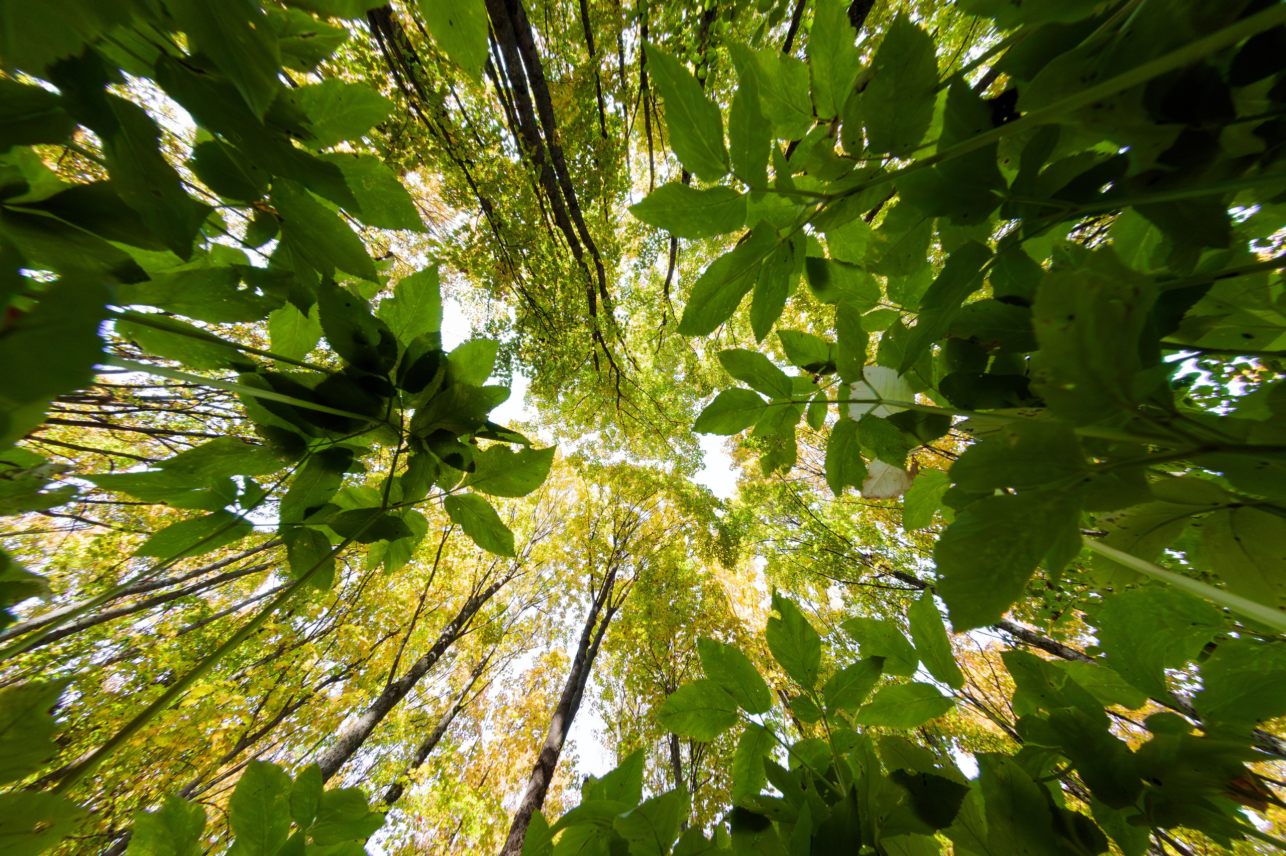 Постеры. Портретный и концертный фотограф в Санкт-Петербурге Егор Телятников