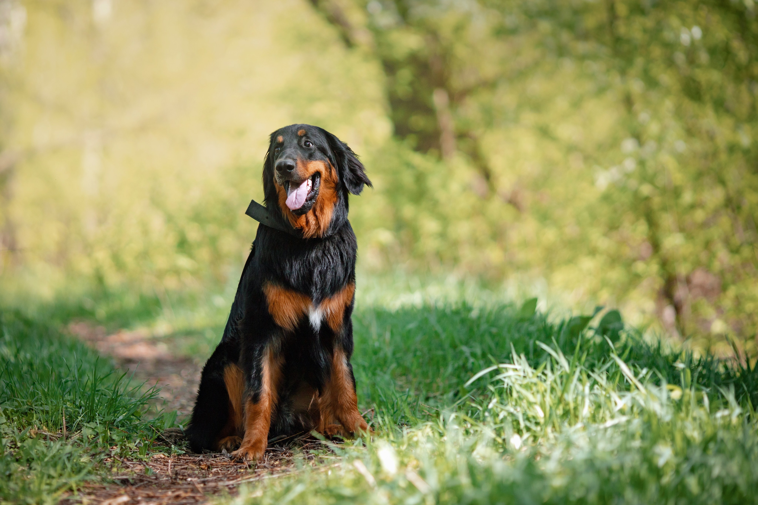 УСЛУГИ. Художник и Фотограф Тимохина Юлия