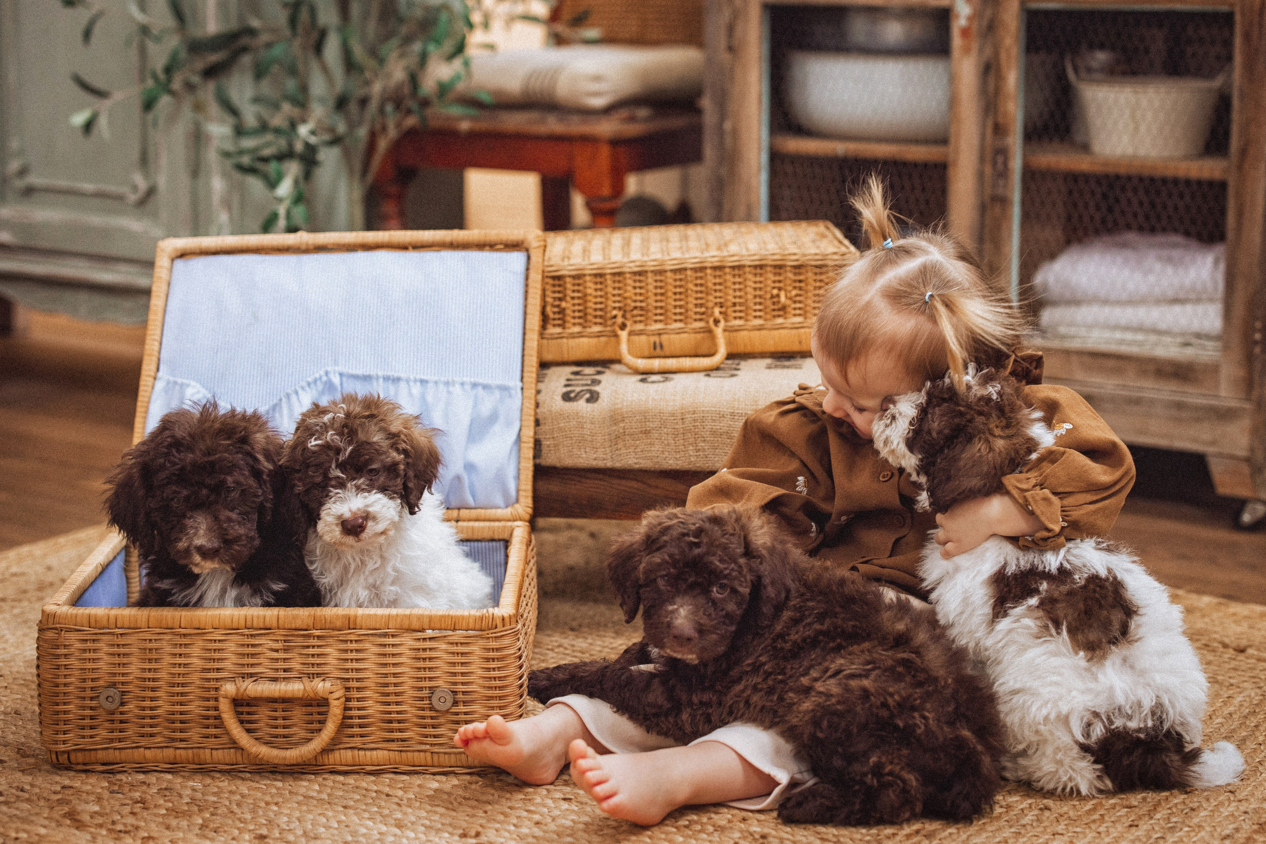 Расписание фотодней. Семейный и детский фотограф в Краснодаре Анна Трашкова