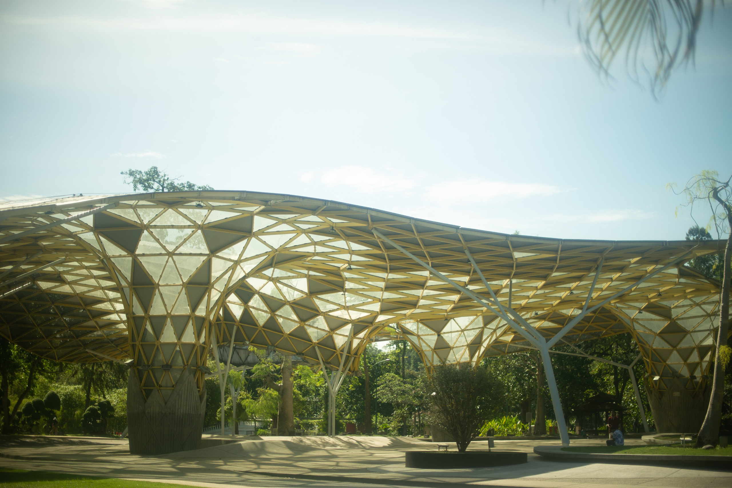 Ботанический сад • Perdana Botanical Gardens. Фотограф Катя Любина