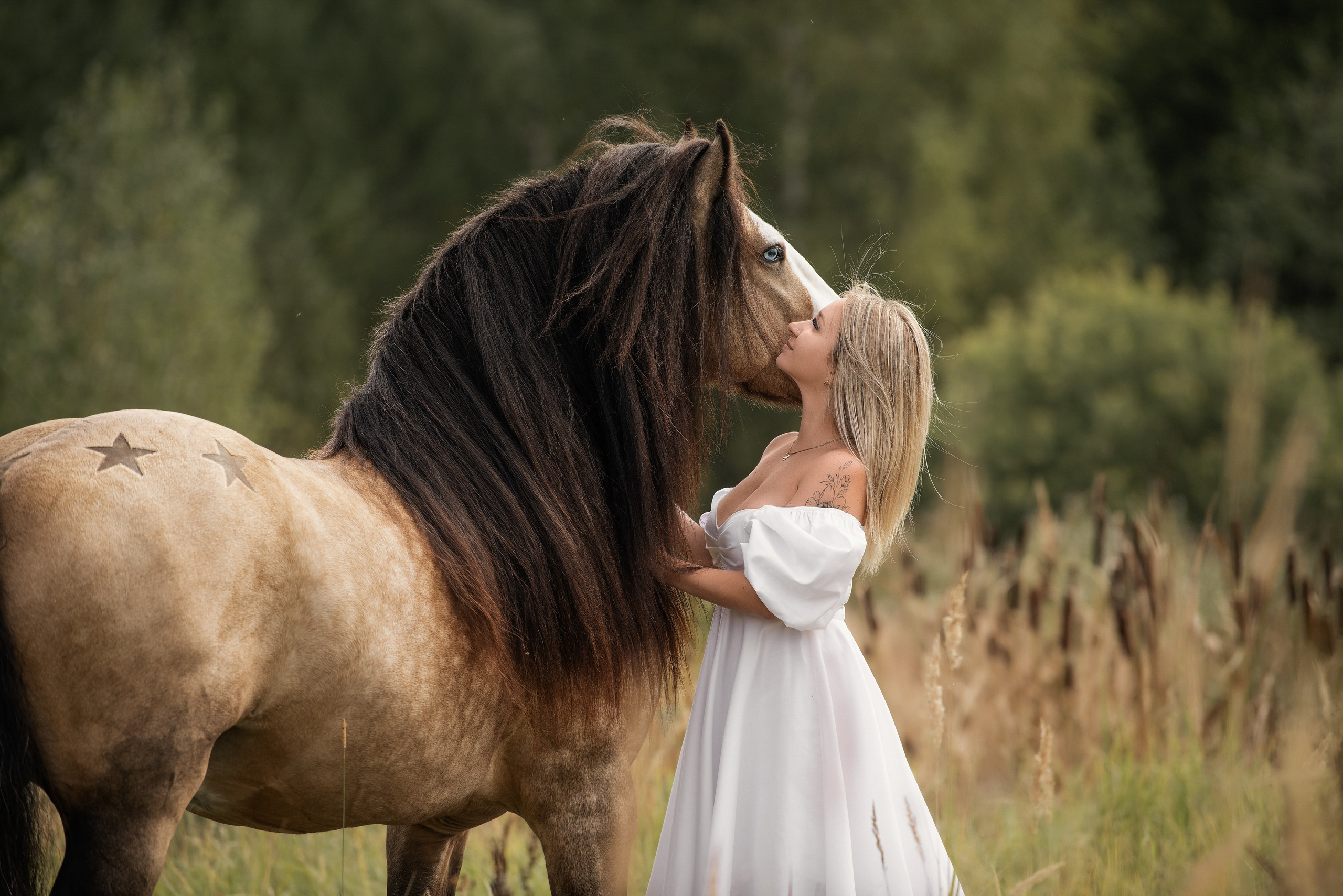 Каталог лошадей. Конный фотограф в Москве — Дарья Алексеева | Премиальные фотосессии с лошадьми