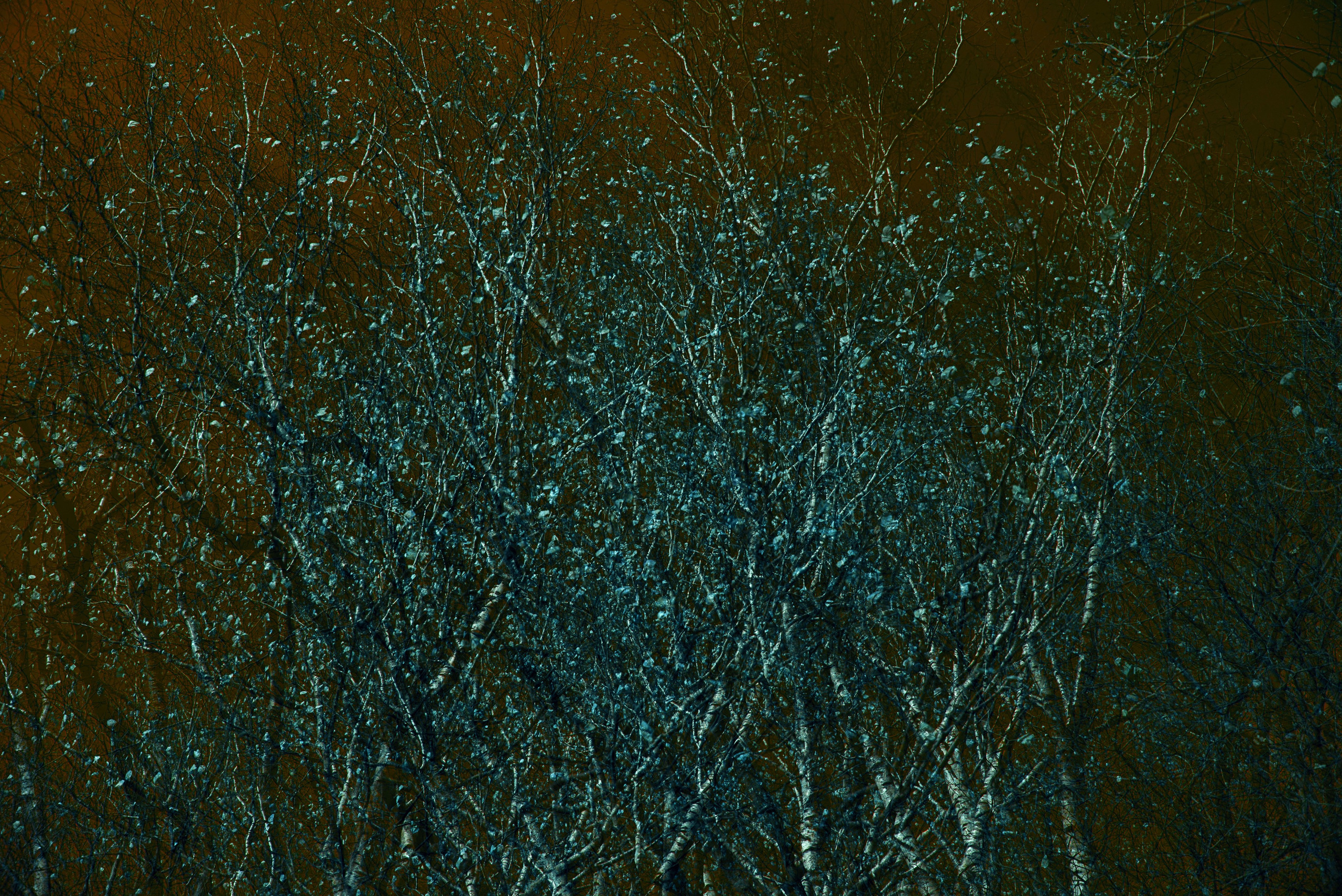 Природа. MAIN