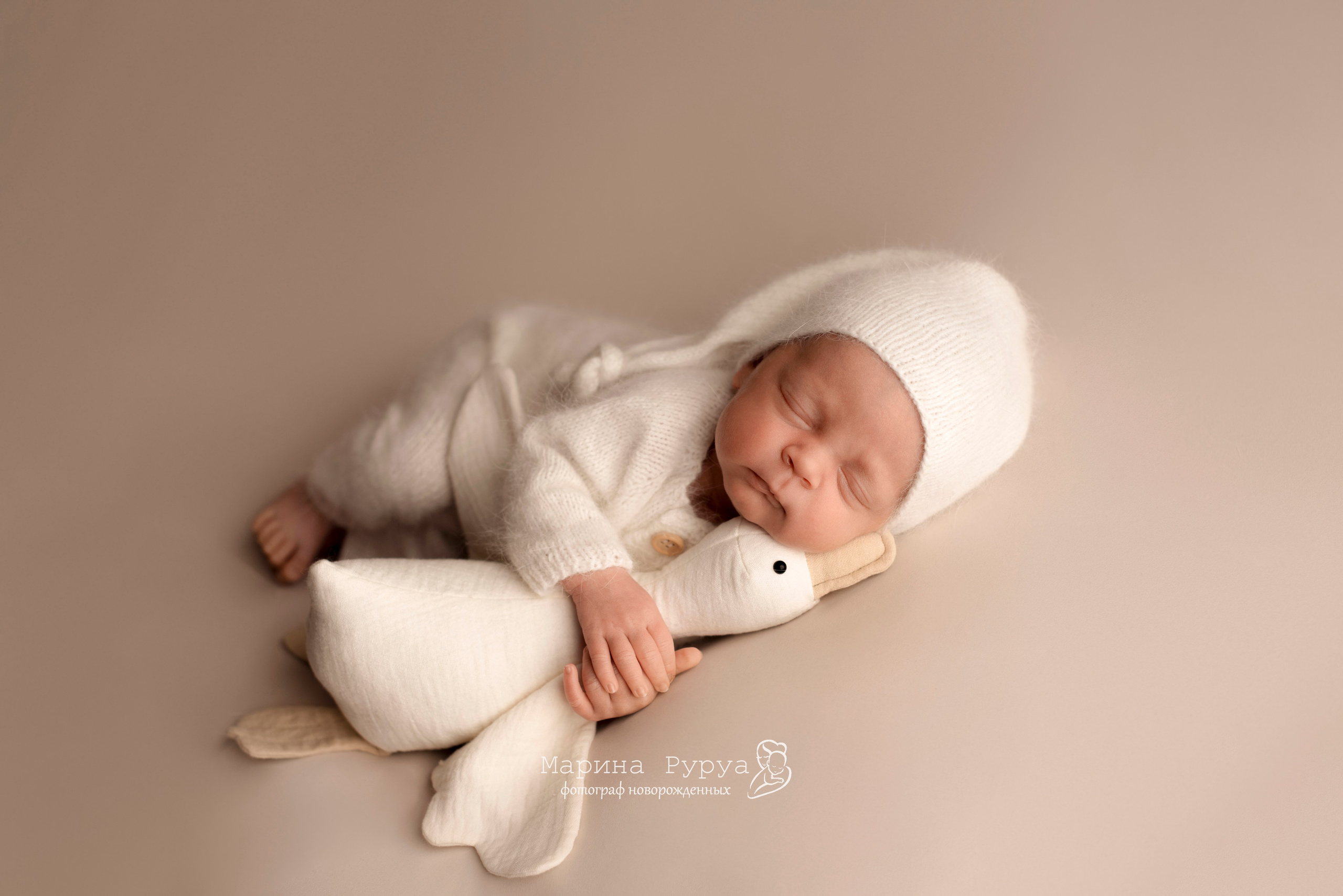 Услуги и цены