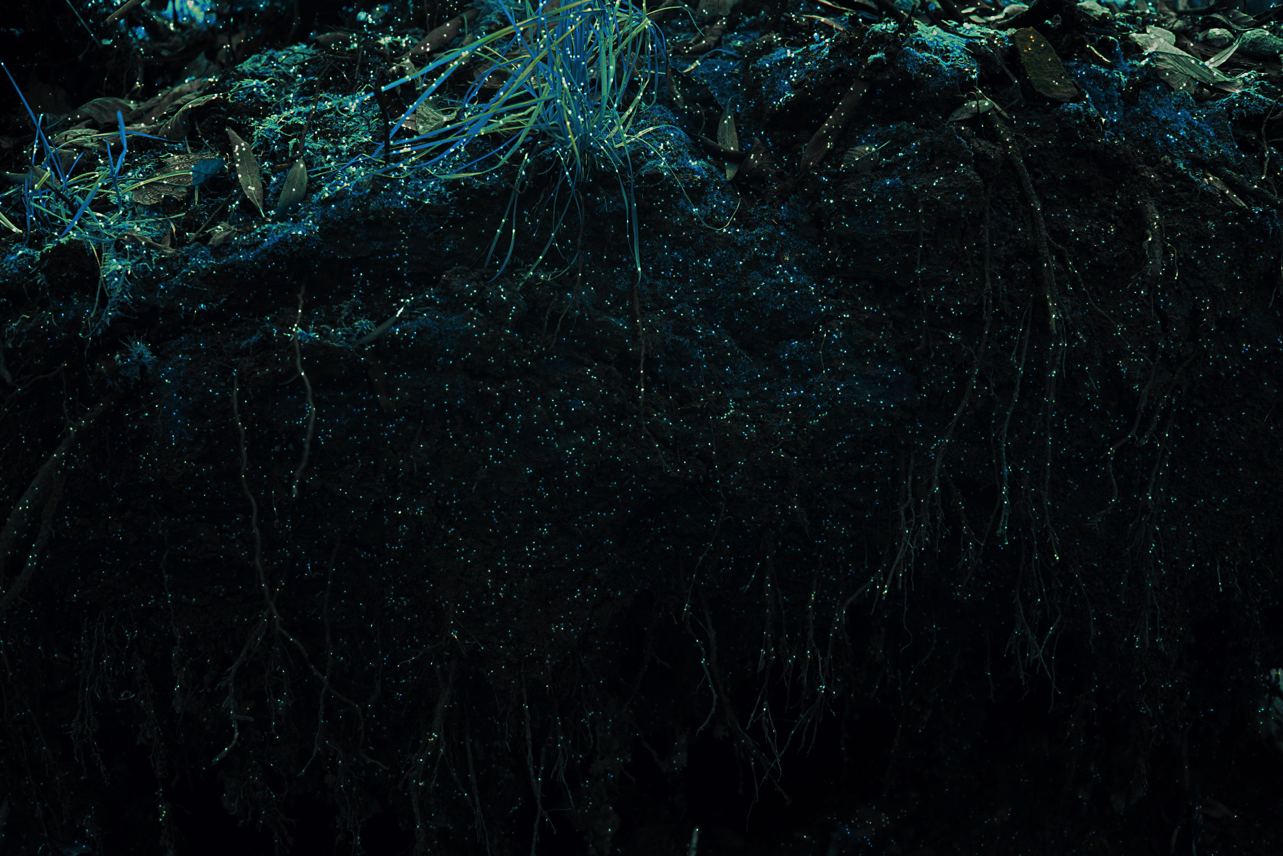 Природа. MAIN