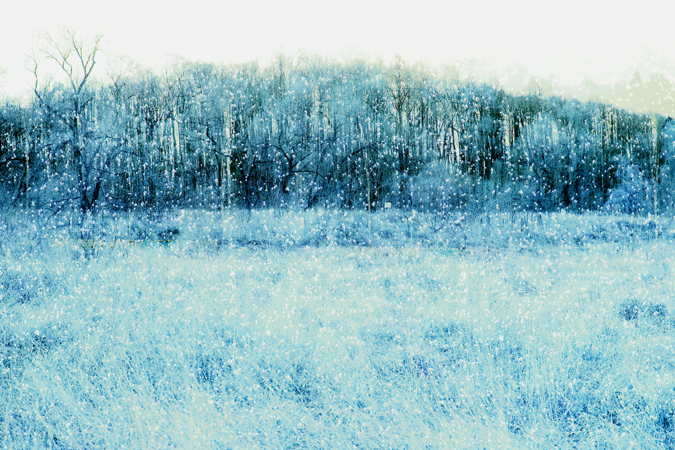 Природа. MAIN