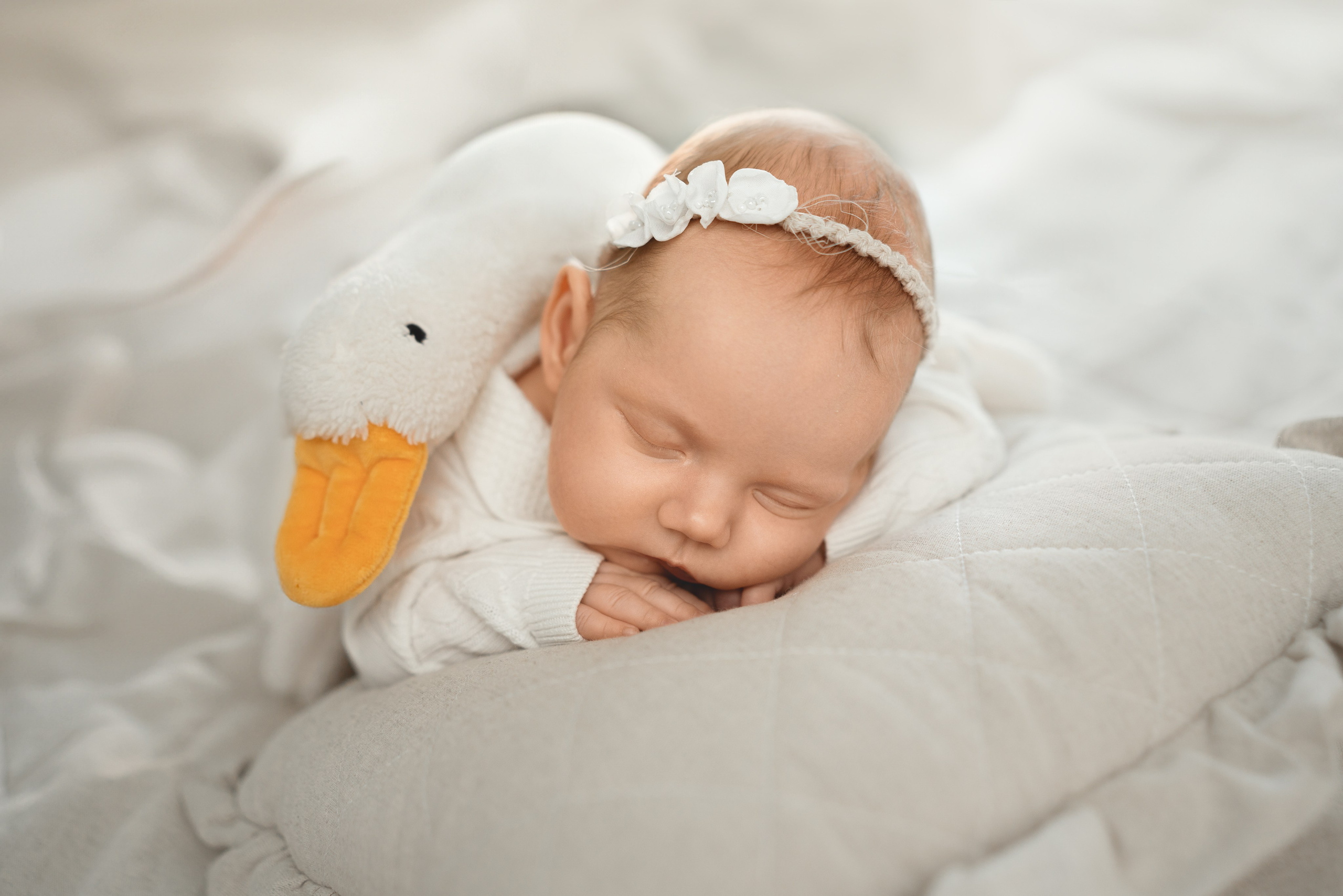 Newborn. Фотограф новорожденных во Владивостоке Ромашко Виктория