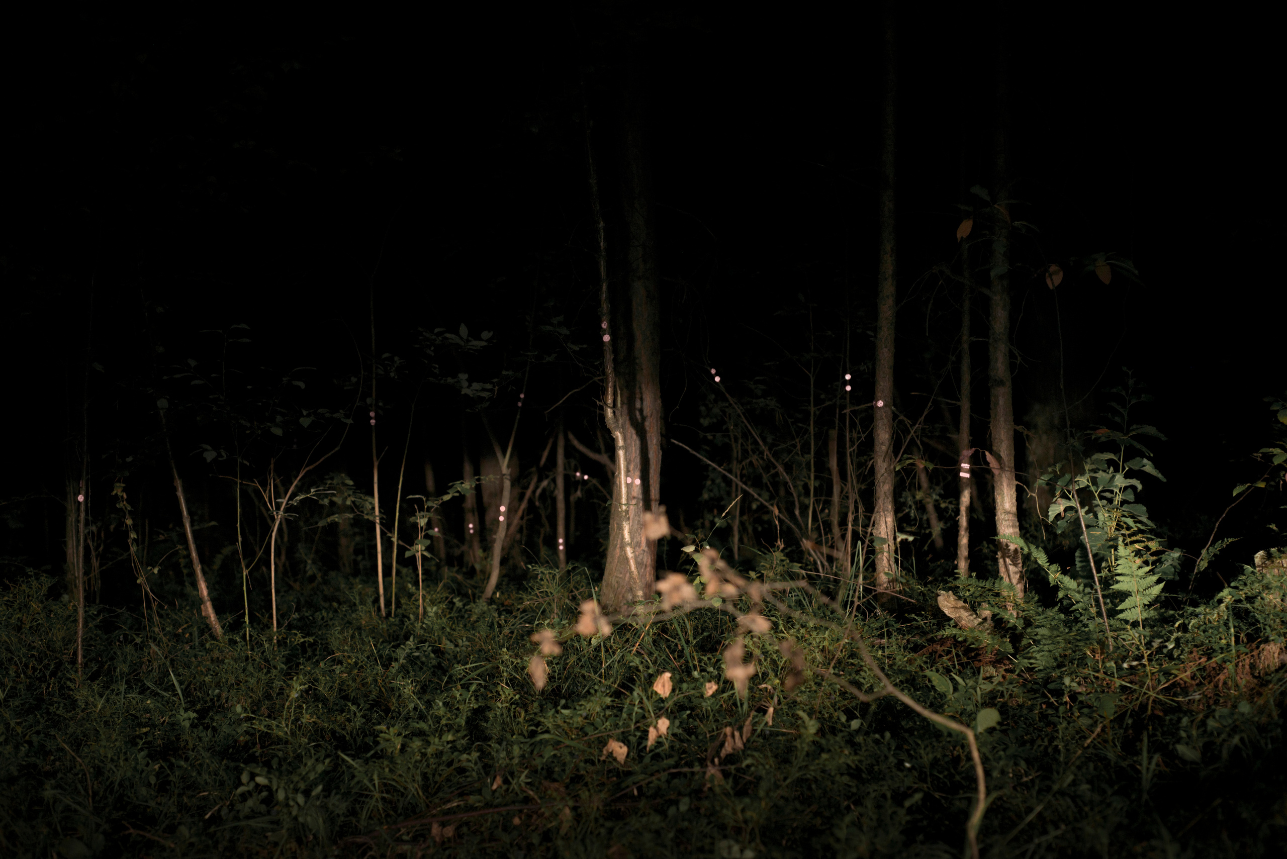 Дневник русалки. Plechinta Ekaterina documentary photographer