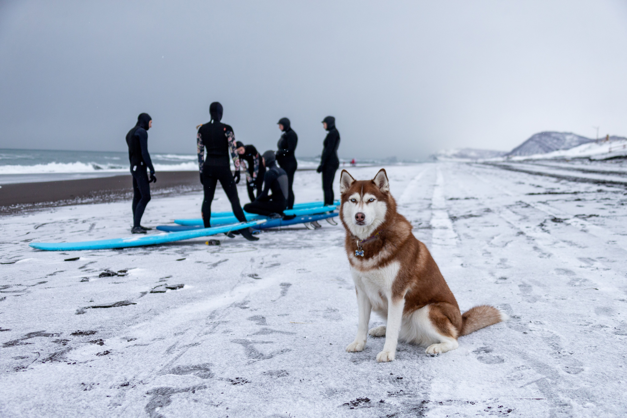 Зимние однодневные экскурсии на Камчатке — Время Камчатки. Время Камчатки: чтобы найти свой путь, нужно скорость умножить на время