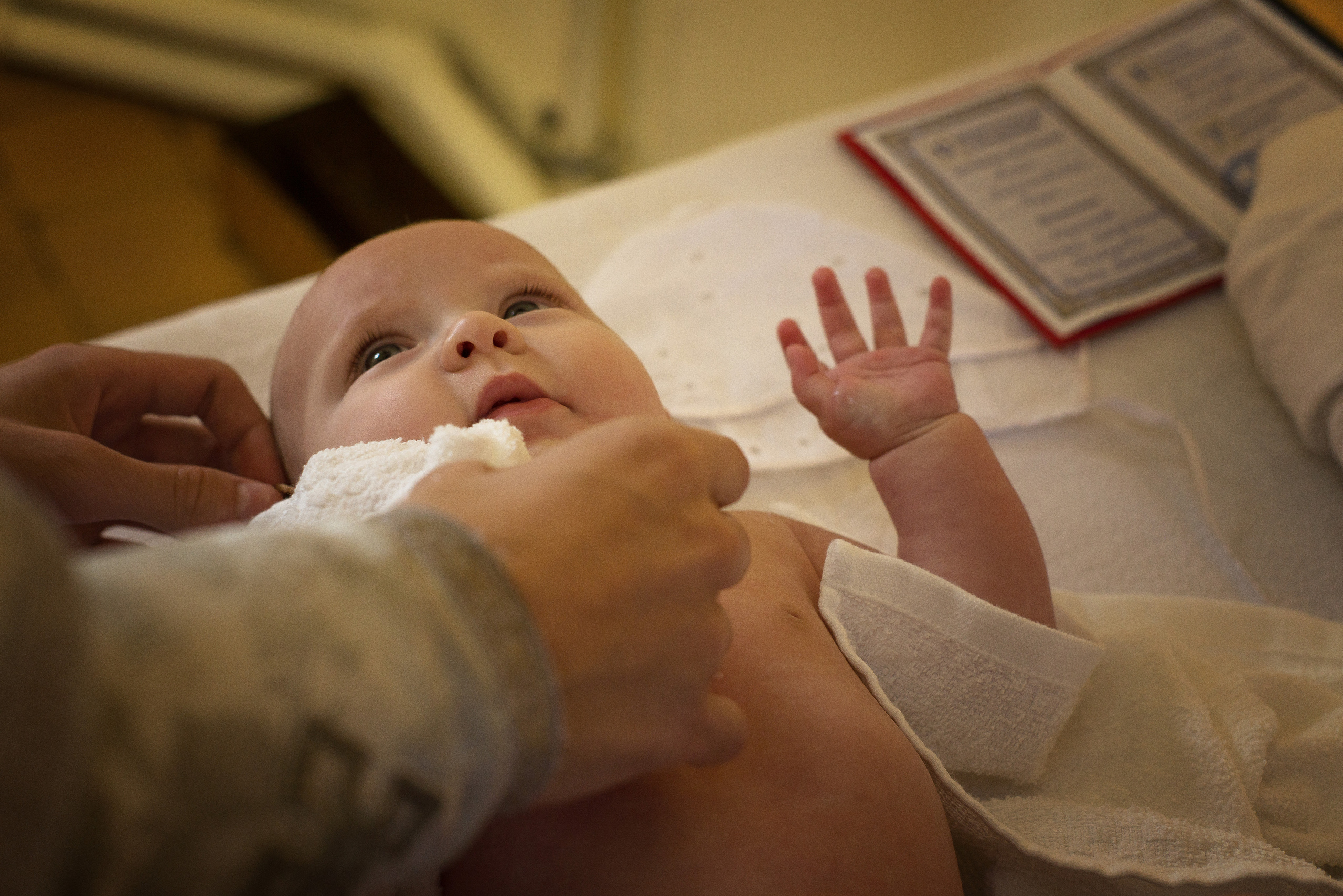 Услуги. Фотограф в Ростове-на-Дону Ксения Дьяченко