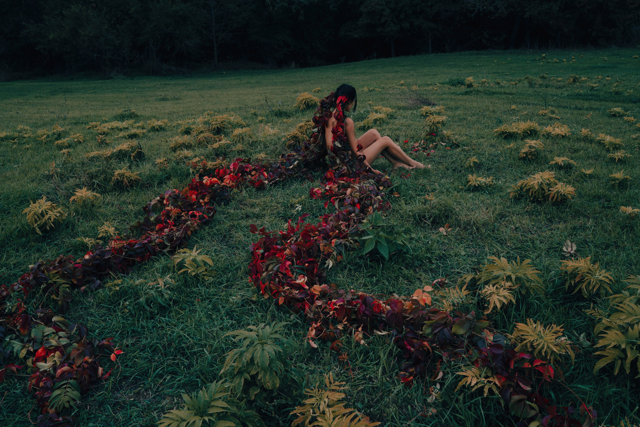 Съёмки. Художественная фотография в Санкт-Петербурге Алина Берёзкина