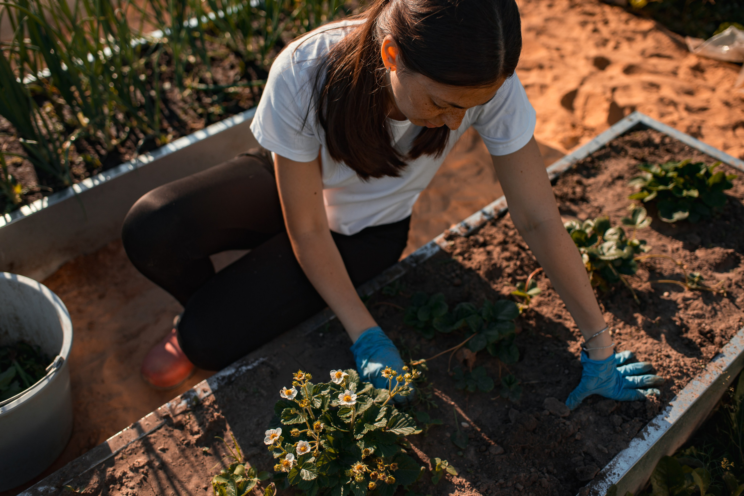 Лина Стёпина. Семейный фотограф Псков. Спб.|Анастасия Войналович