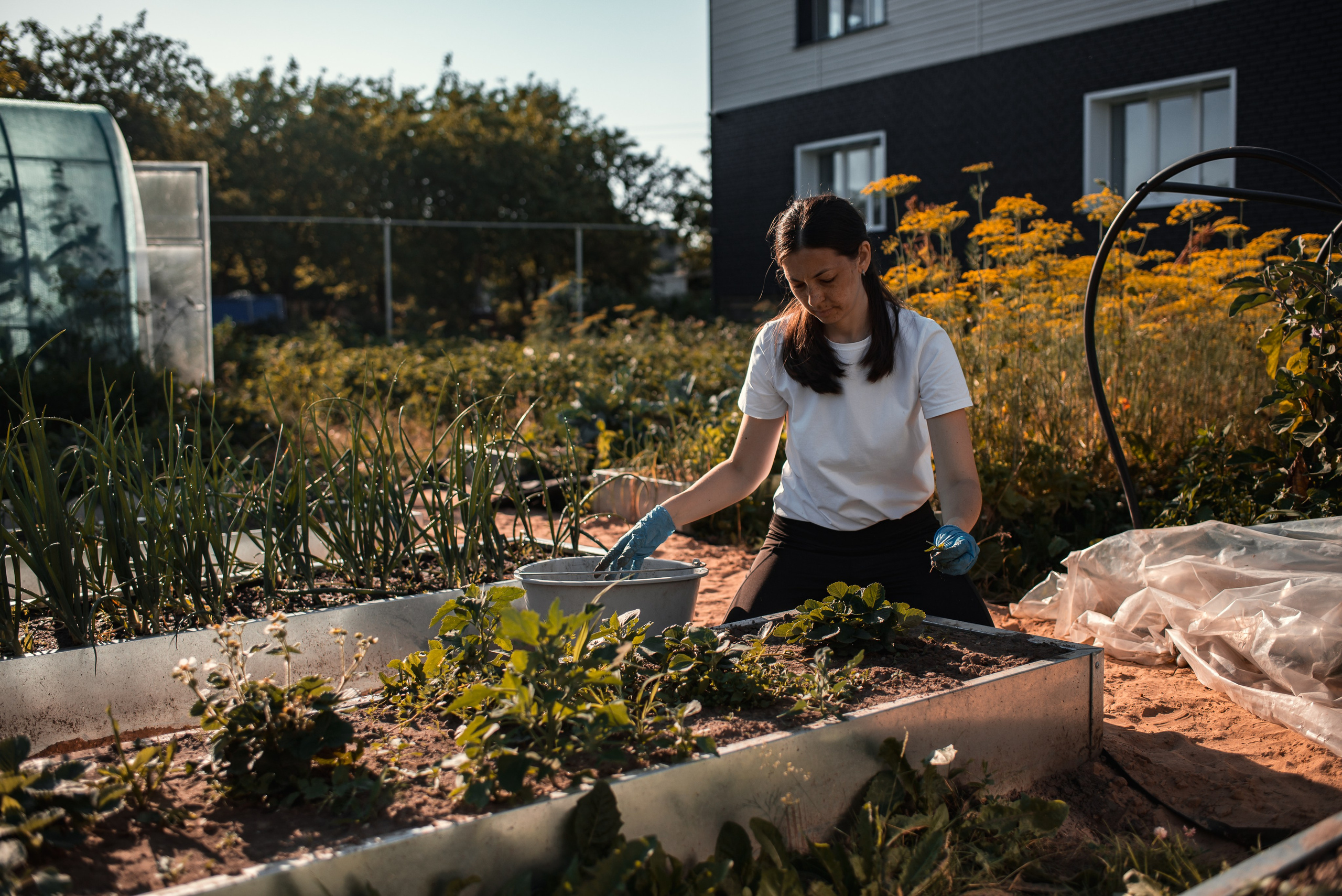Лина Стёпина. Семейный фотограф Псков. Спб.|Анастасия Войналович