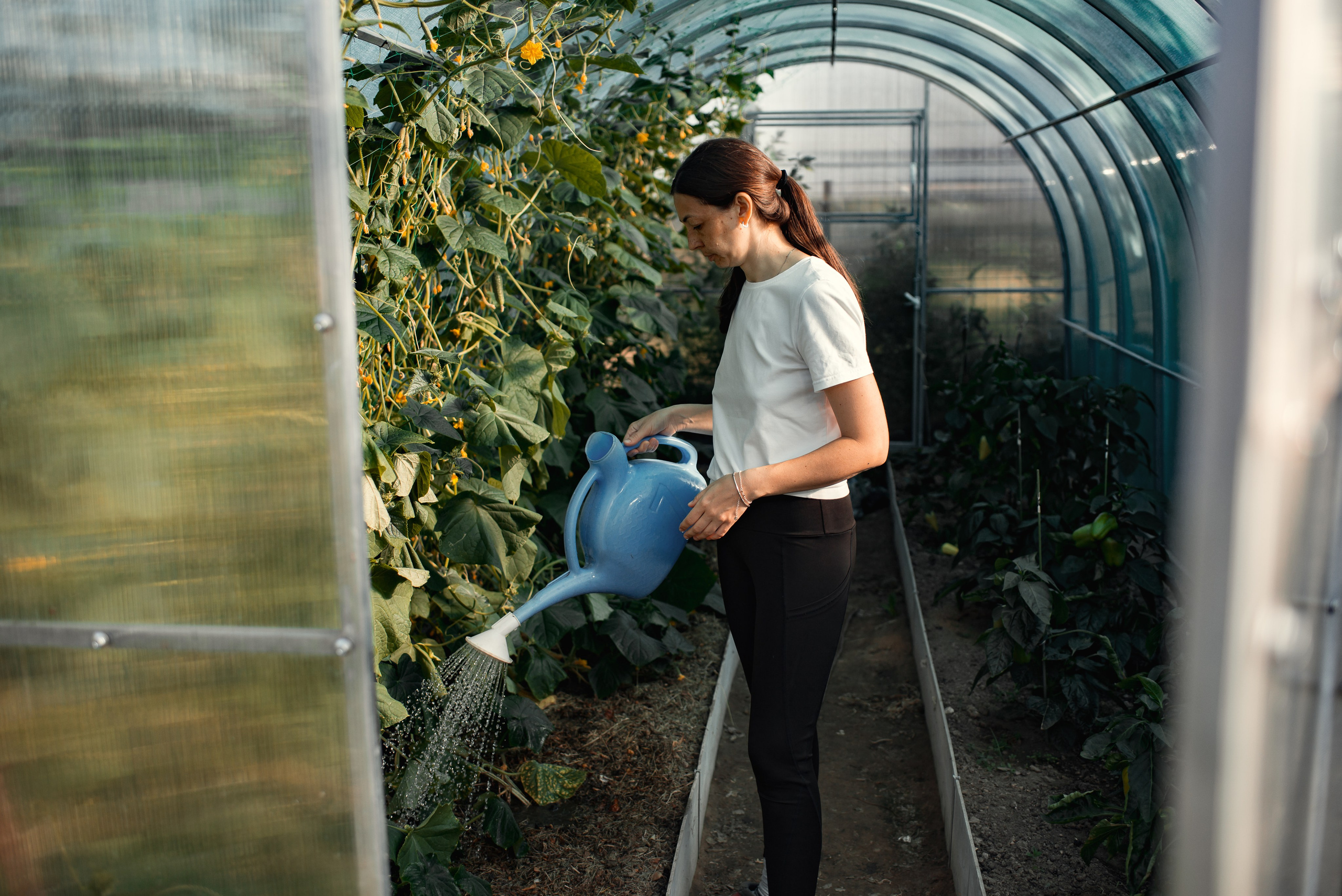 Лина Стёпина. Семейный фотограф Псков. Спб.|Анастасия Войналович