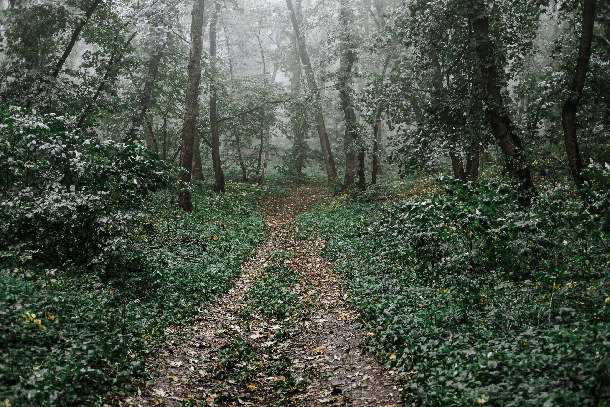 КМВ (октябрь 2021)