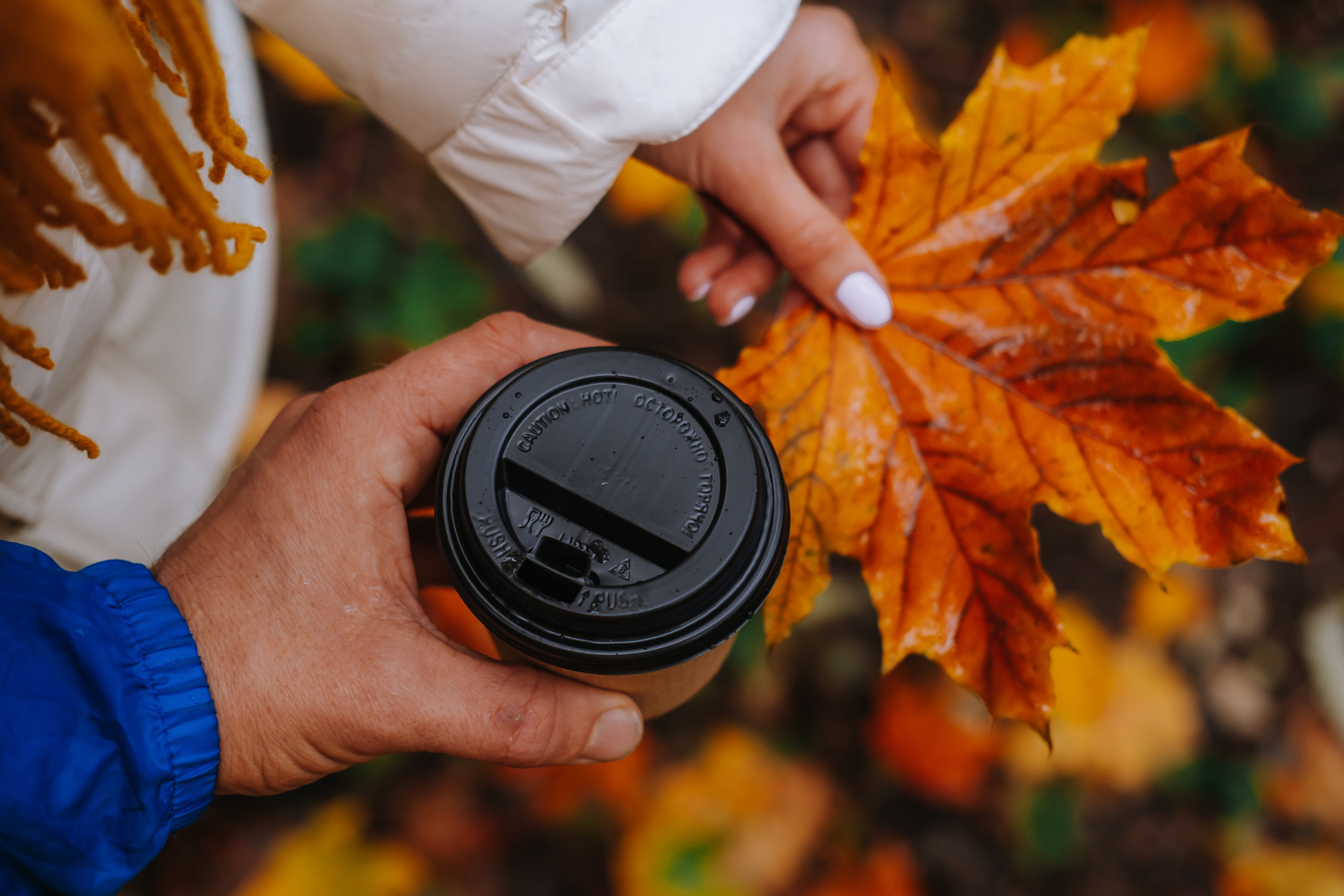 КМВ (октябрь 2021)