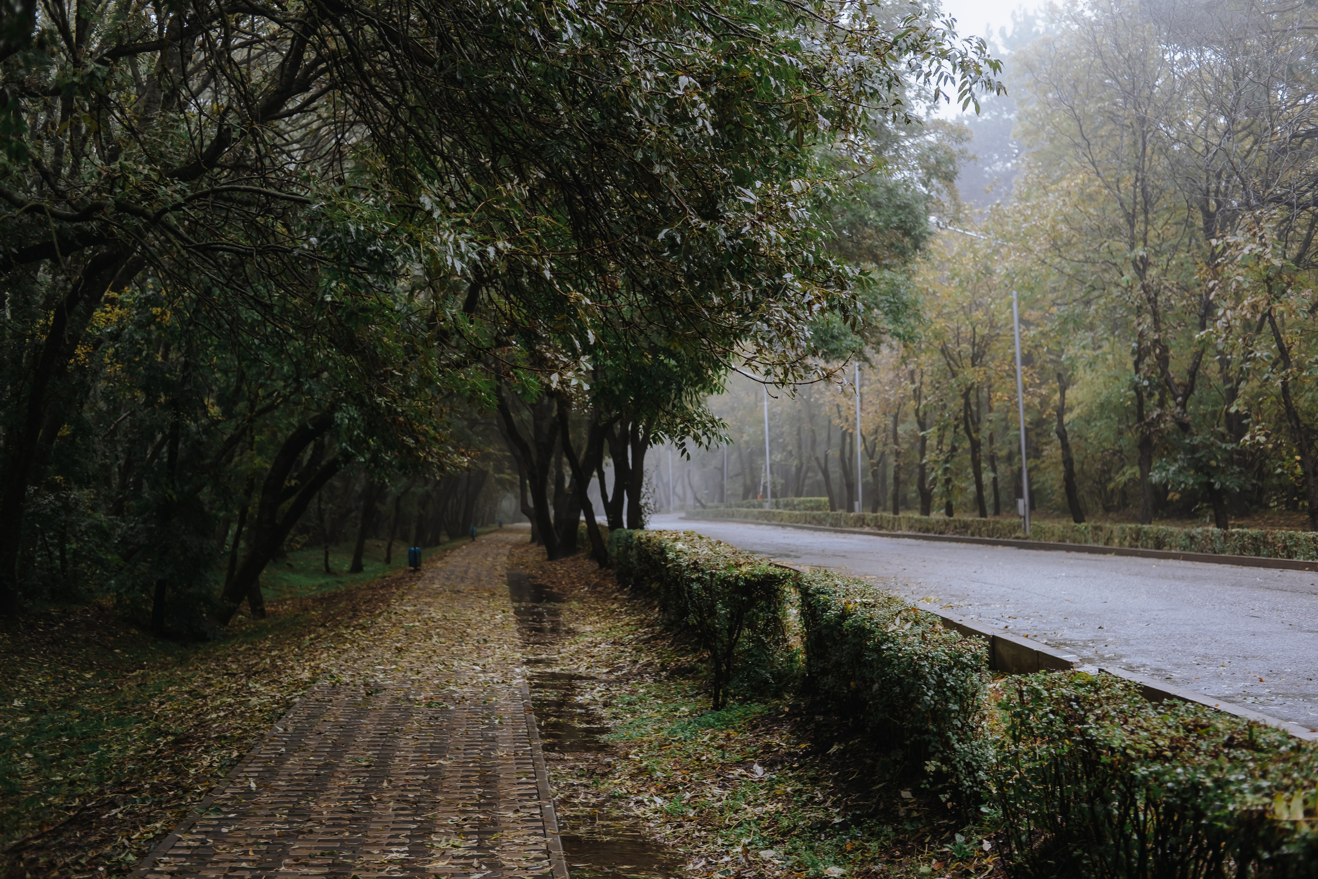 КМВ (октябрь 2021)