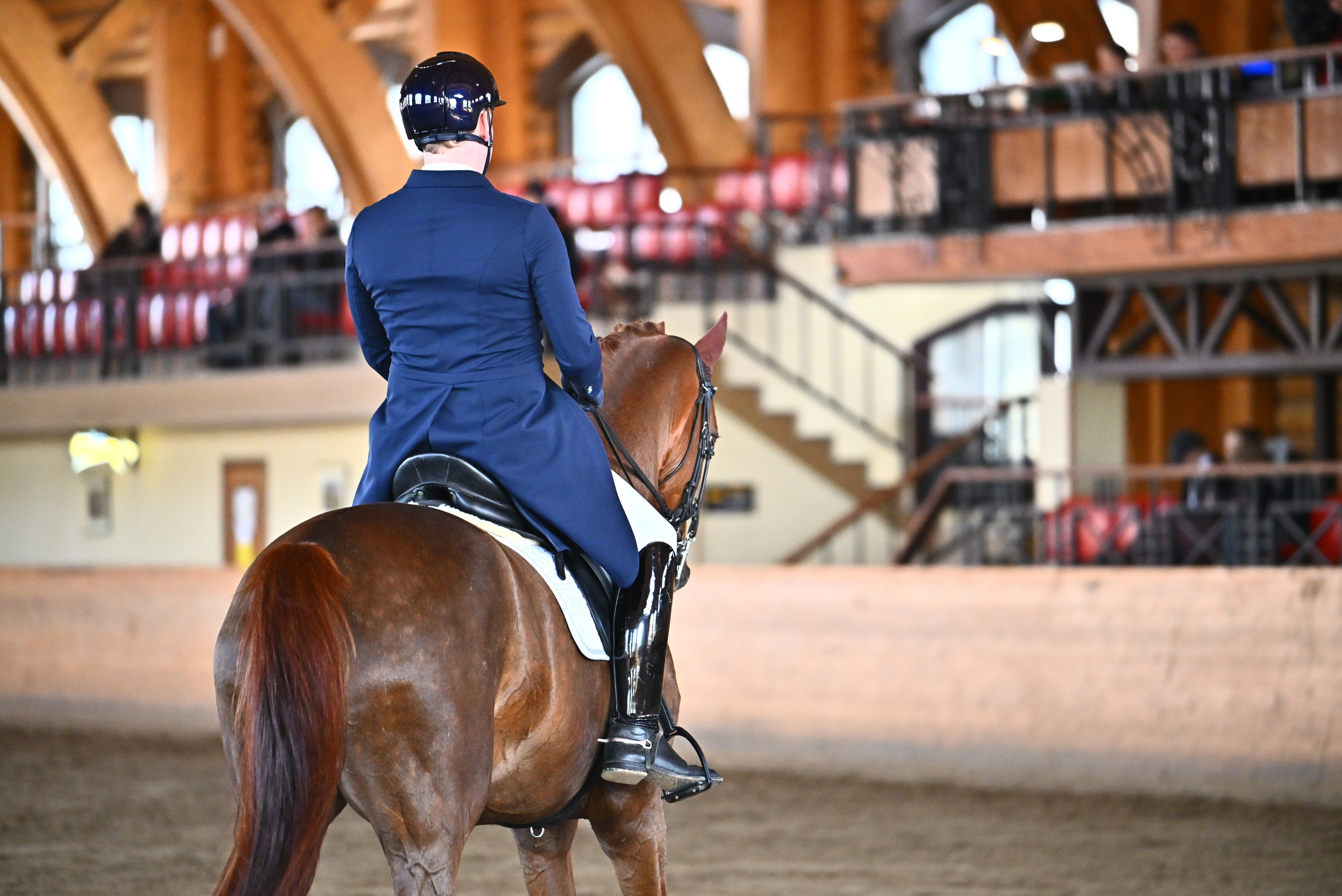 Весенний Кубок КСК Пегас по выездке. ТУРНИРНАЯ КОННАЯ ФОТОГРАФИЯ, Руднева Ольга и Евгений Адеев