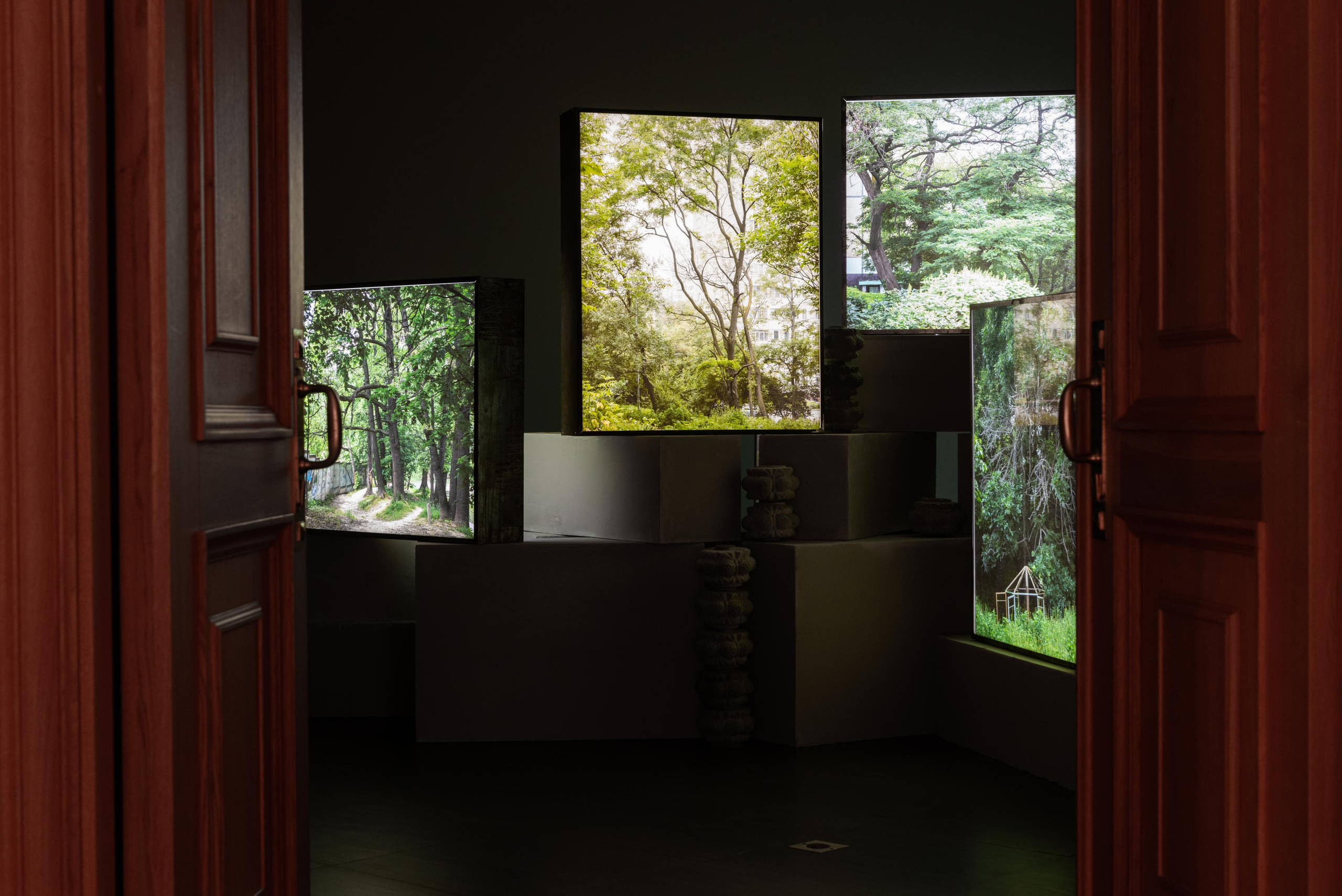 Arcadia. Petr Antonov