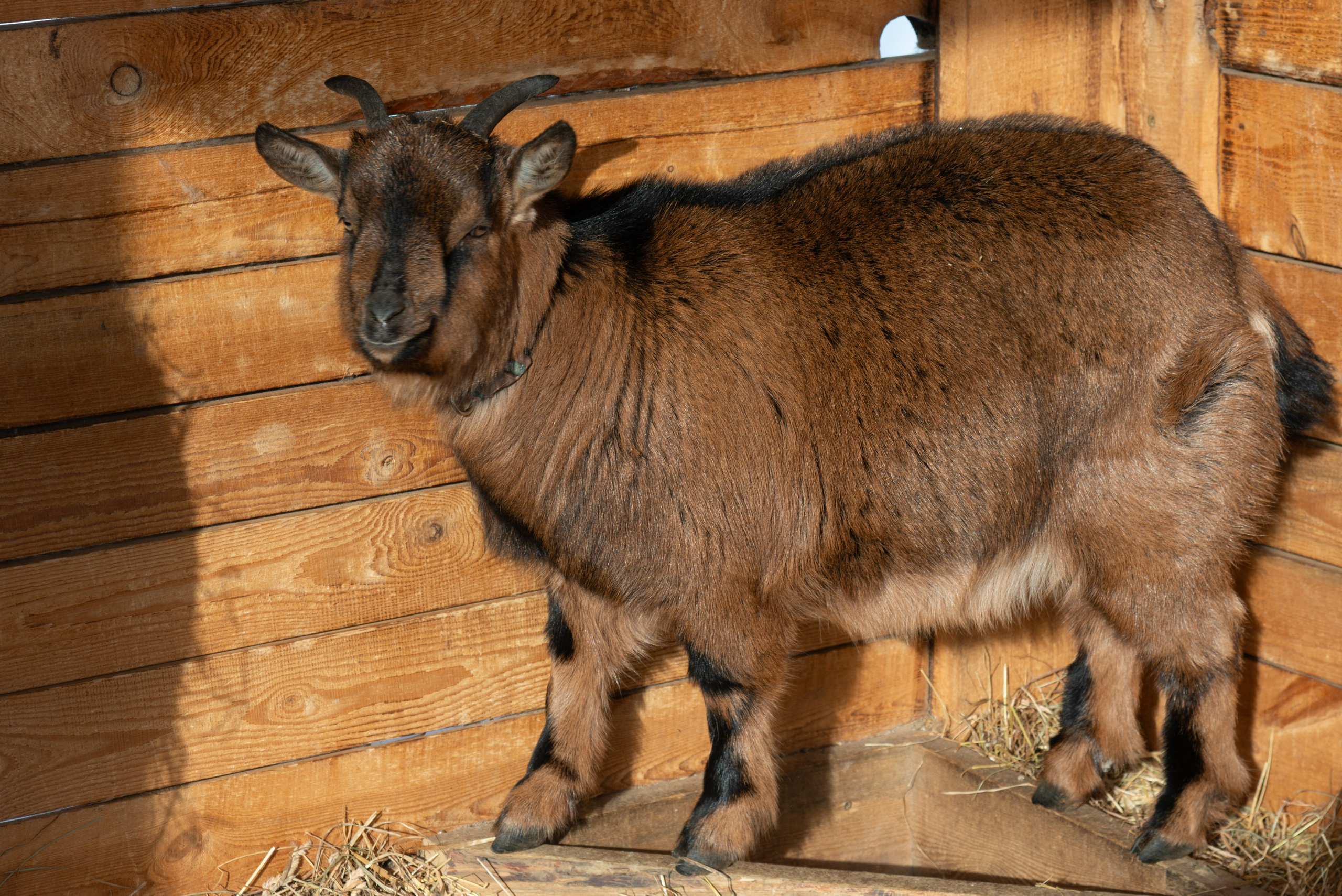 Прогулка до Мичуринских прудов. Фотограф Евгений Серебряков в Екатеринбурге