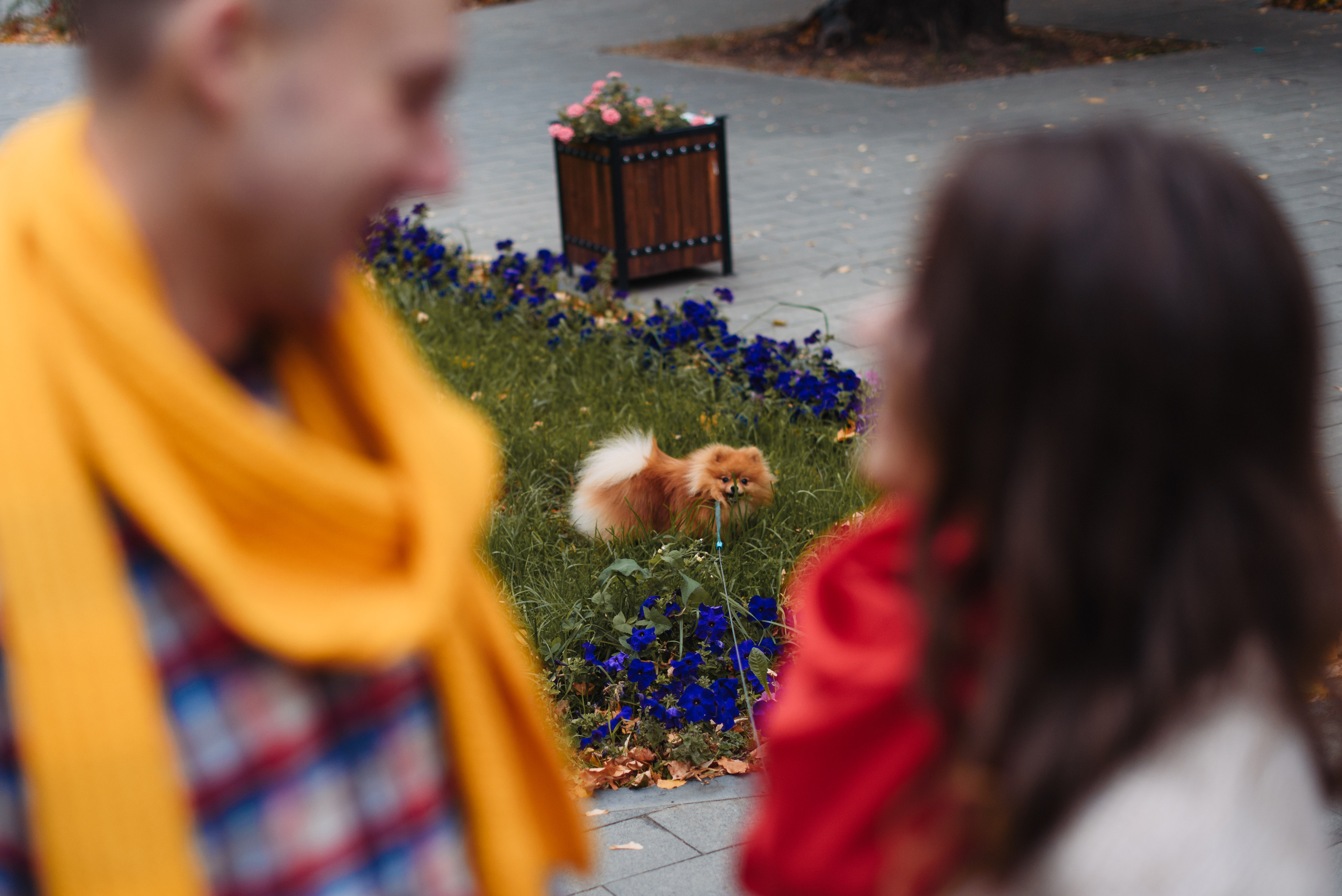 Услуги. Анна Абрамкина душевный фотограф в Москве
