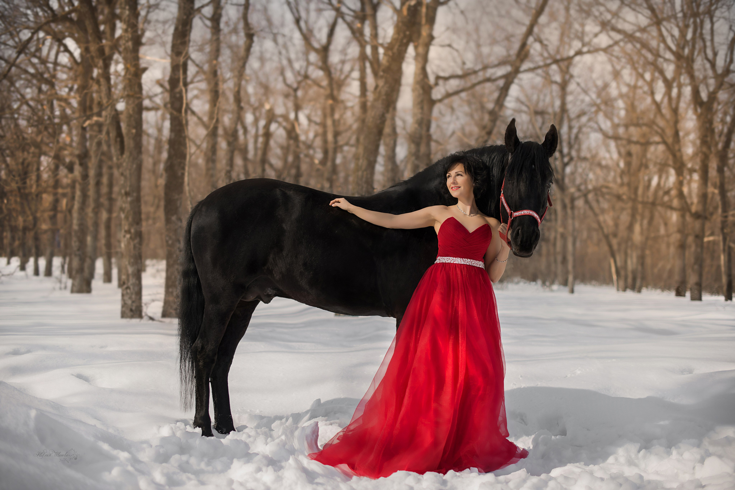 Как подготовиться к фотосессии с лошадью?. Конный фотограф в Саратове Юлия Иванова