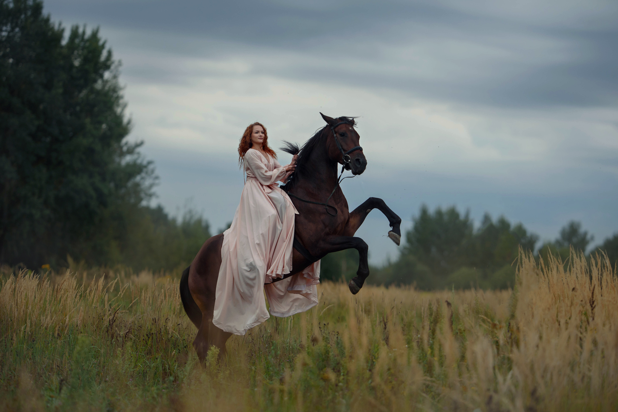 Каталог лошадей и других животных доступных для аренды. Фотограф Вероника Ранцева, фотосессии с лошадьми в Минске и Могилеве