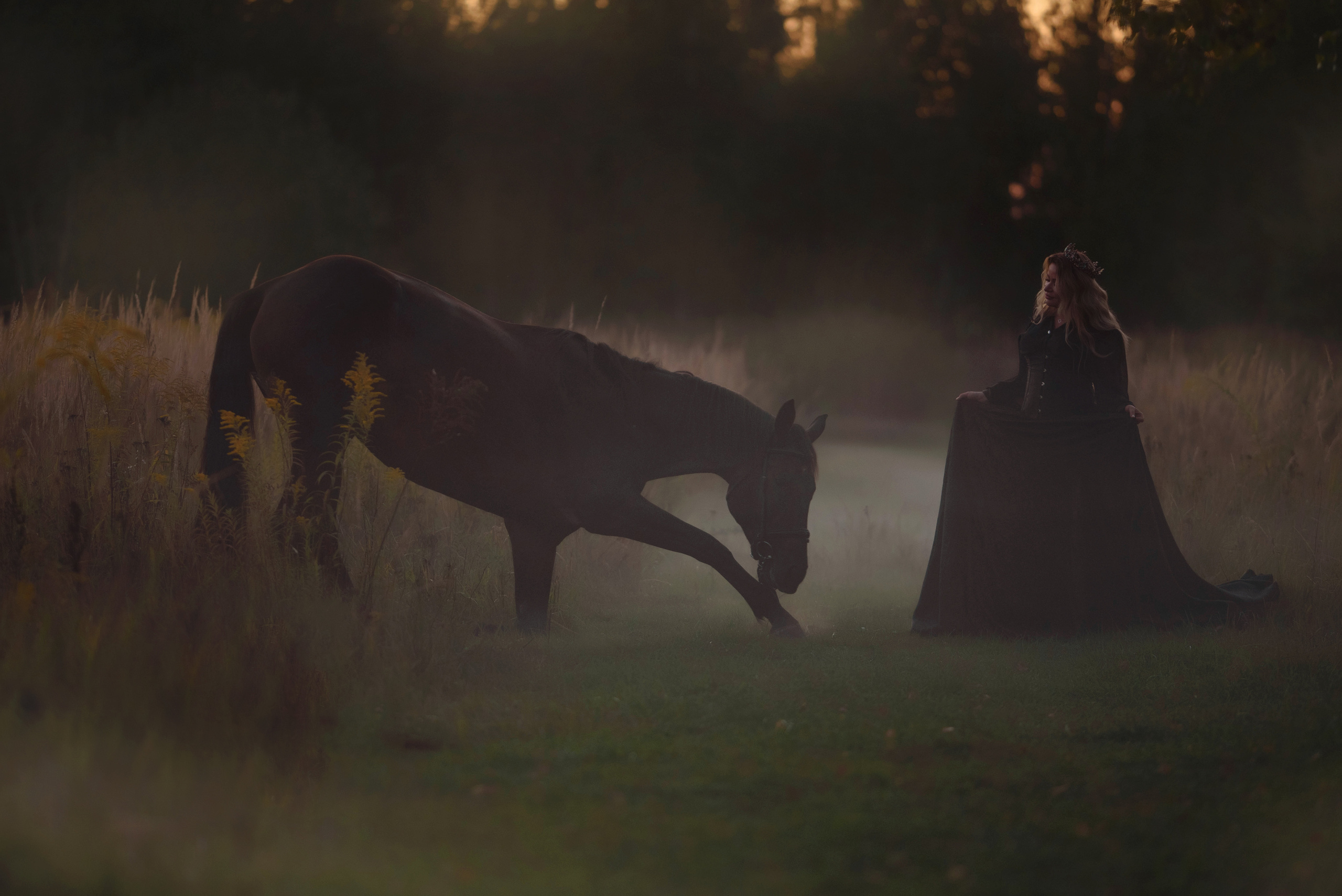 Каталог лошадей и других животных доступных для аренды. Фотограф Вероника Ранцева, фотосессии с лошадьми в Минске и Могилеве
