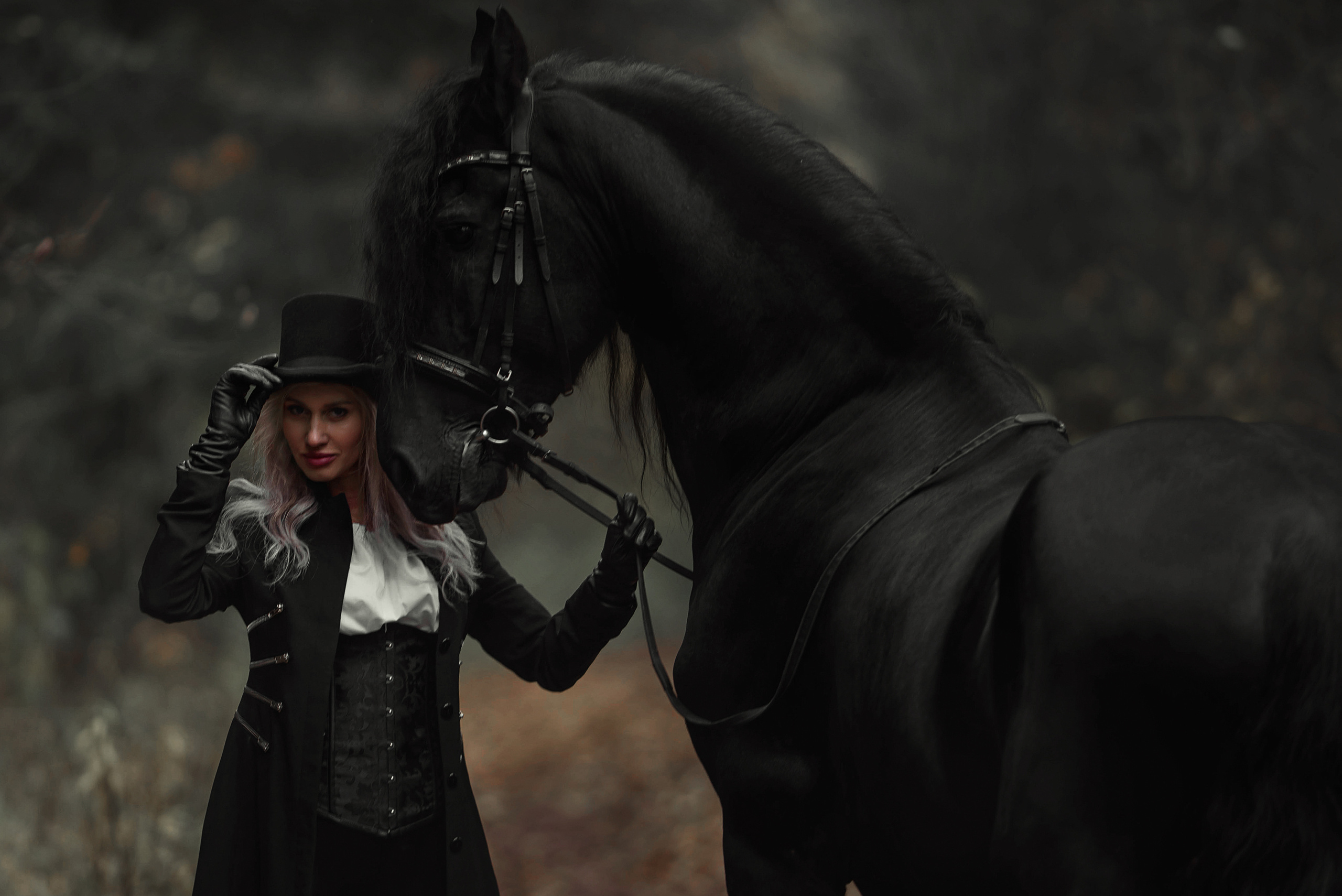 Каталог лошадей и других животных доступных для аренды. Фотограф Вероника Ранцева, фотосессии с лошадьми в Минске и Могилеве