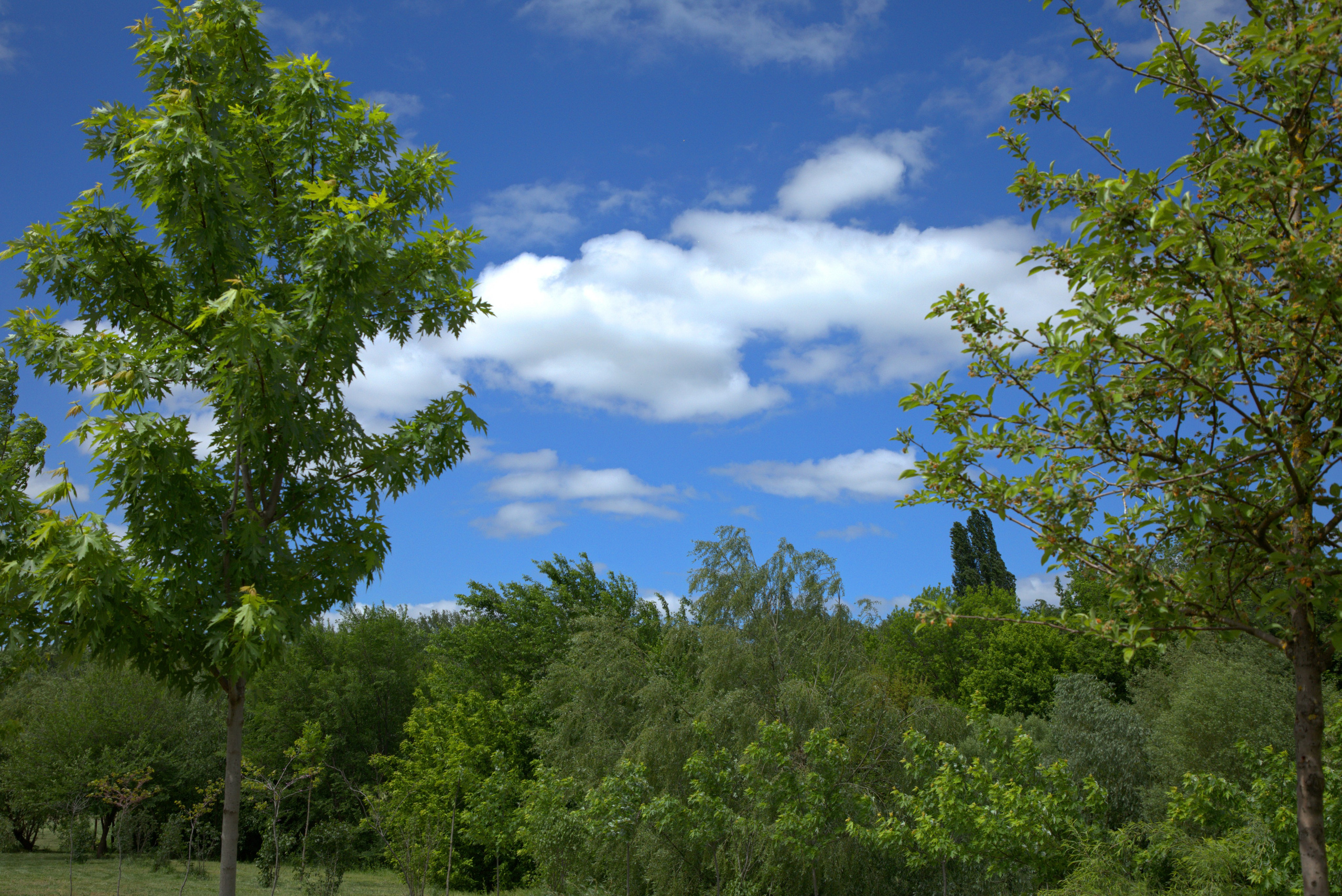Услуги и «Публичная Оферта». Фото-художник и Репортажный фотограф Николаев Александр Алексеевич