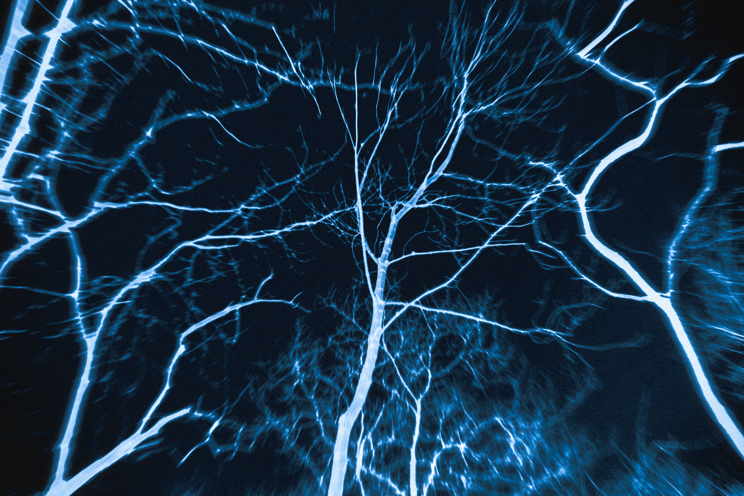 → Crystal formation. Darya Pyanzina (d.snapshots)