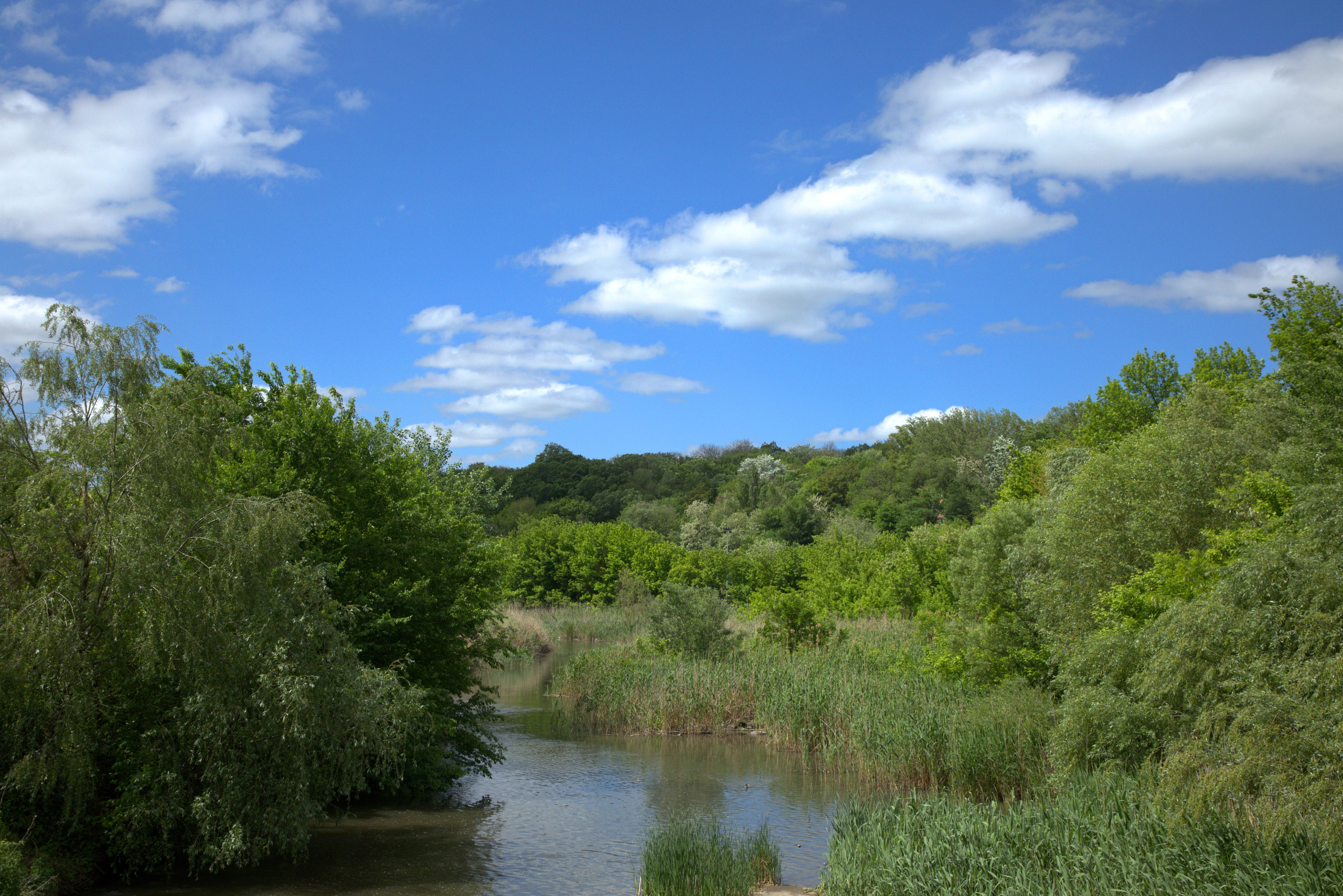Услуги и «Публичная Оферта». Фото-художник и Репортажный фотограф Николаев Александр Алексеевич