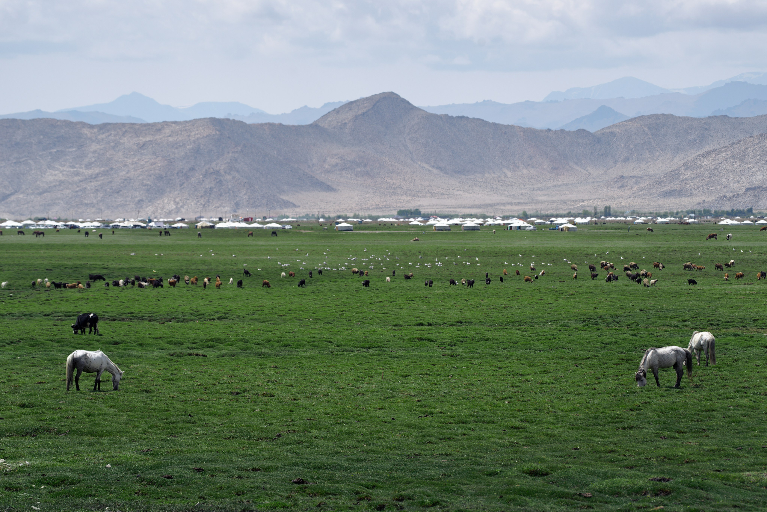Экспедиция в Монголию (Гоби). Семоха Валерий. Фотограф