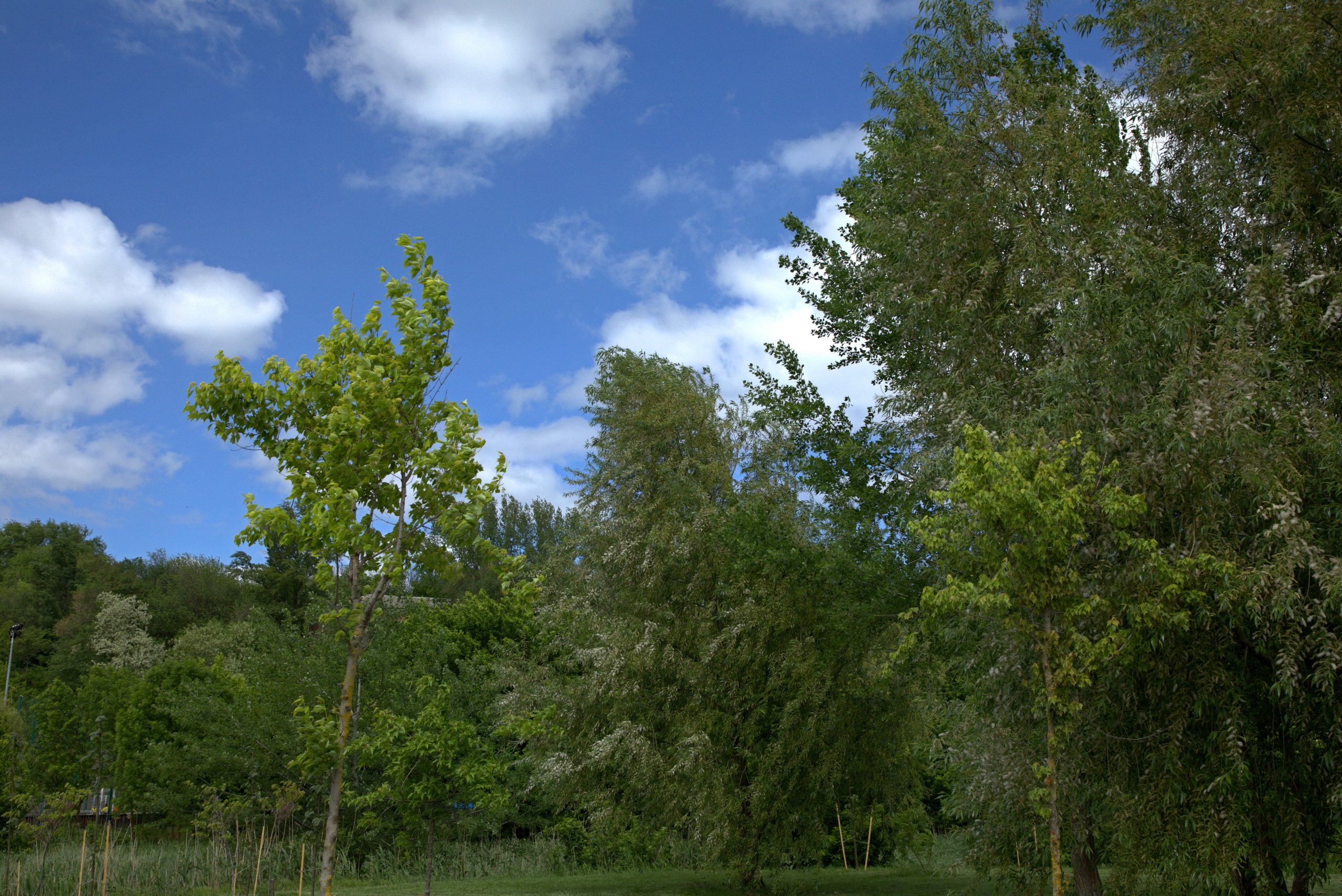 Услуги и «Публичная Оферта». Фото-художник и Репортажный фотограф Николаев Александр Алексеевич