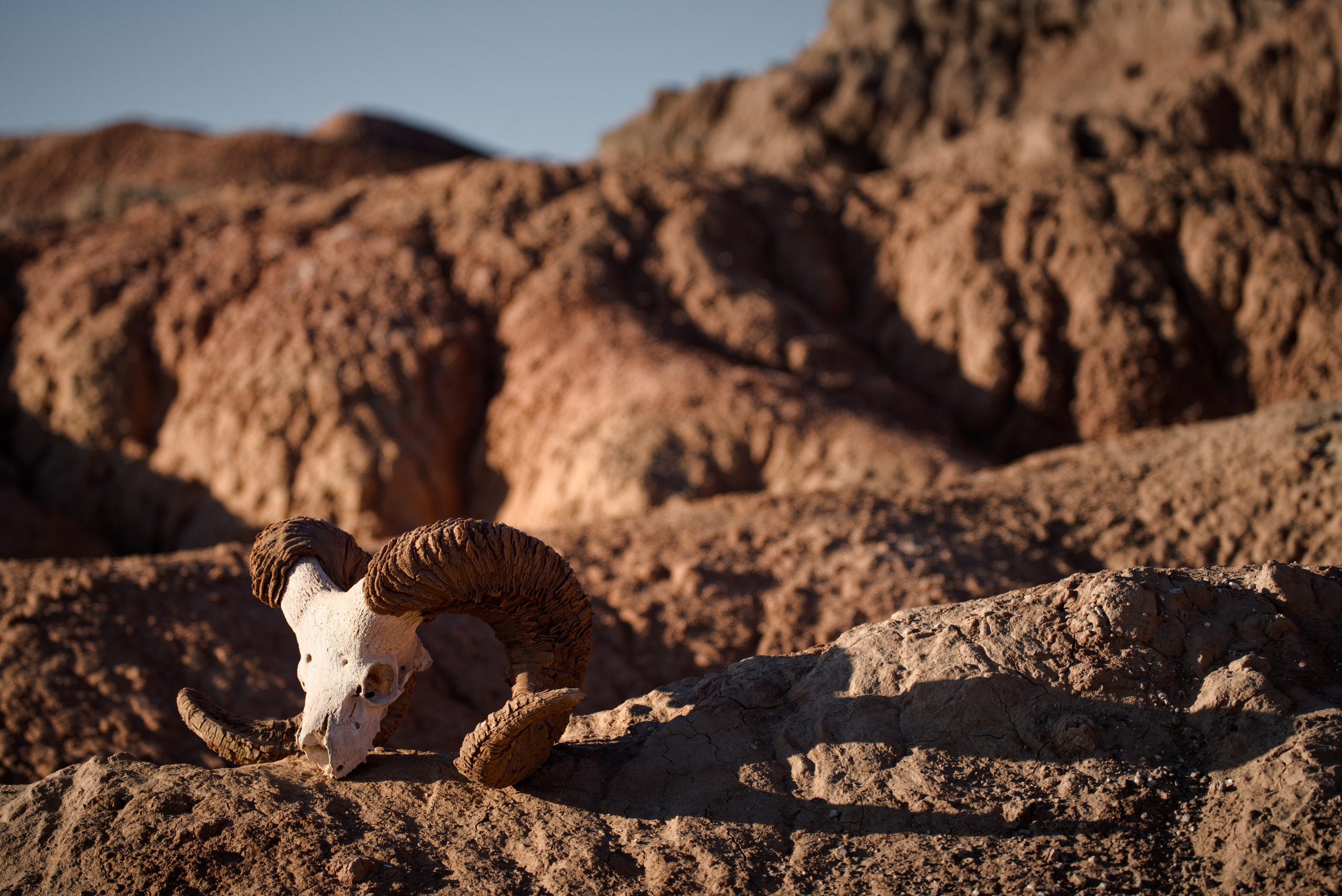 Экспедиция в Монголию (Гоби). Семоха Валерий. Фотограф