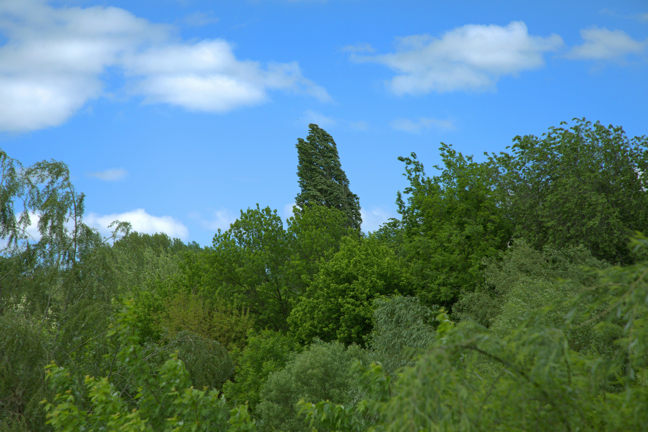 Услуги и «Публичная Оферта». Фото-художник и Репортажный фотограф Николаев Александр Алексеевич