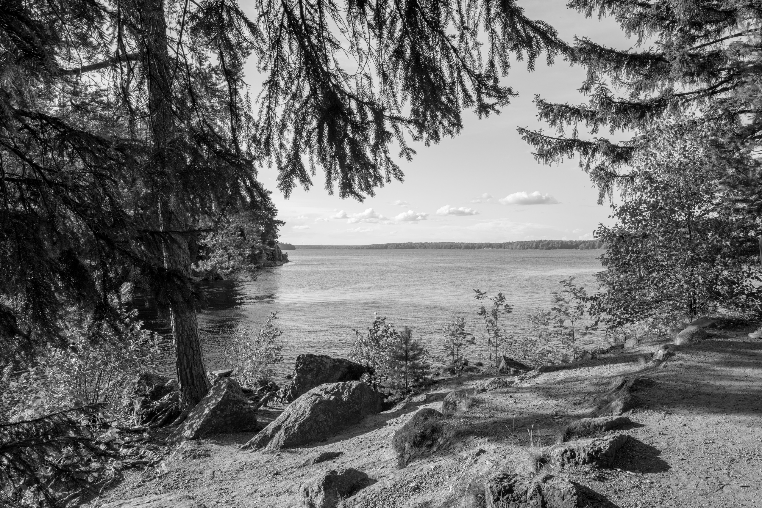 Пейзаж в парке Монрепо