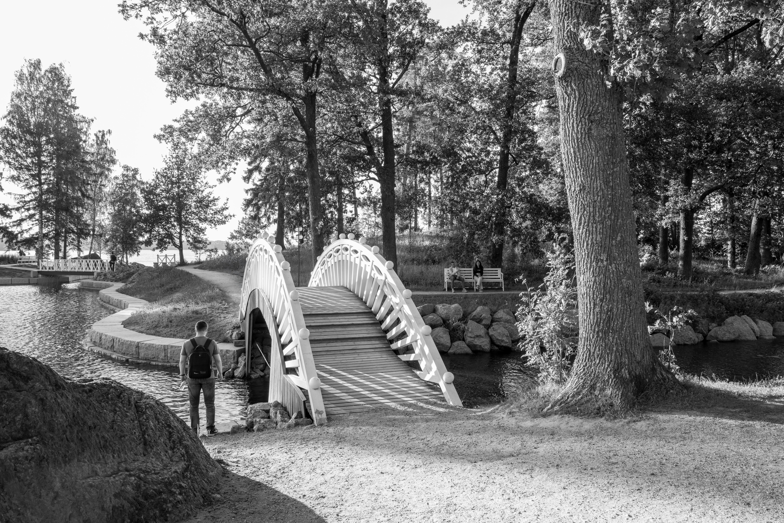 Мостик в парке Монрепо