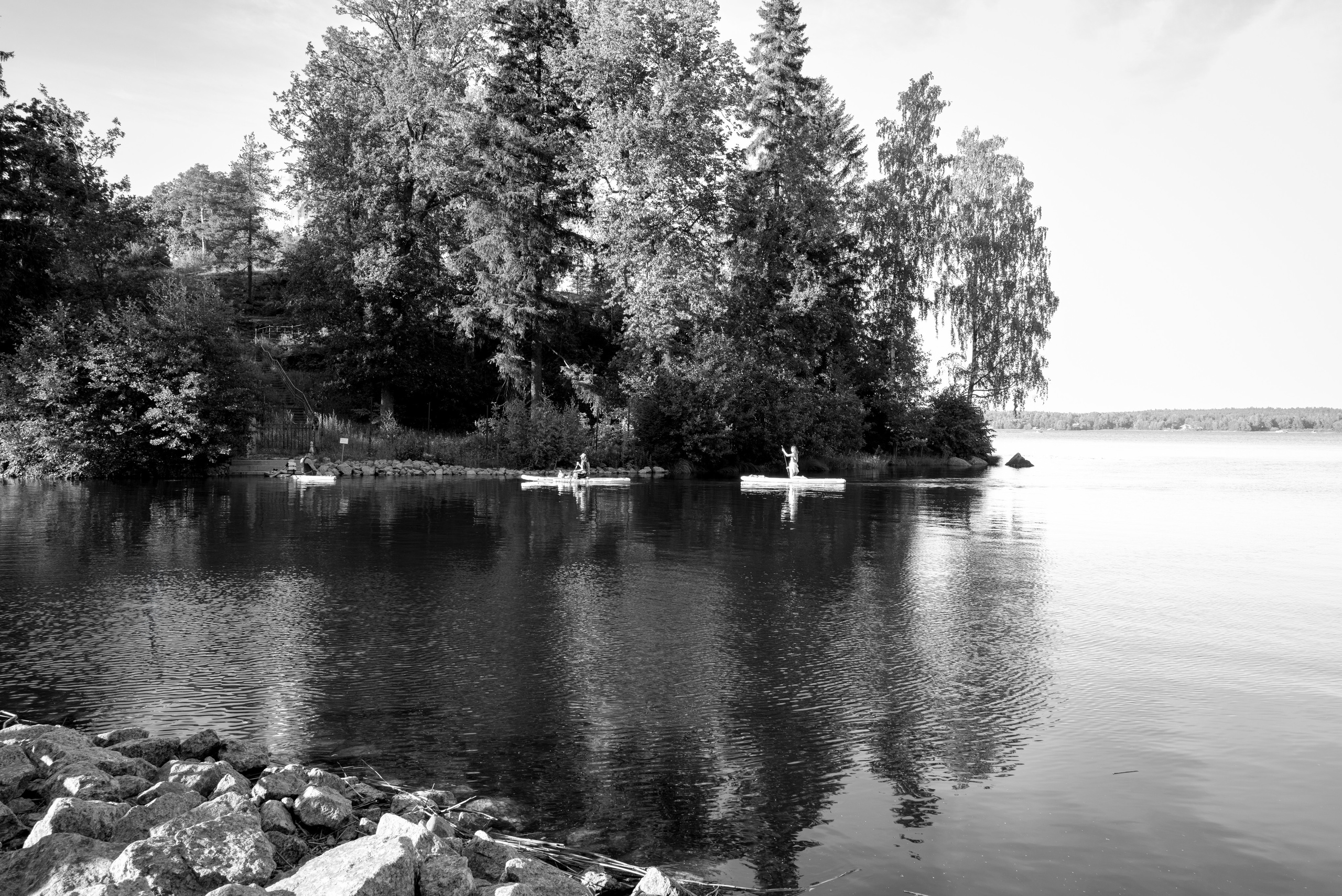 Вид на воду в парке Монрепо