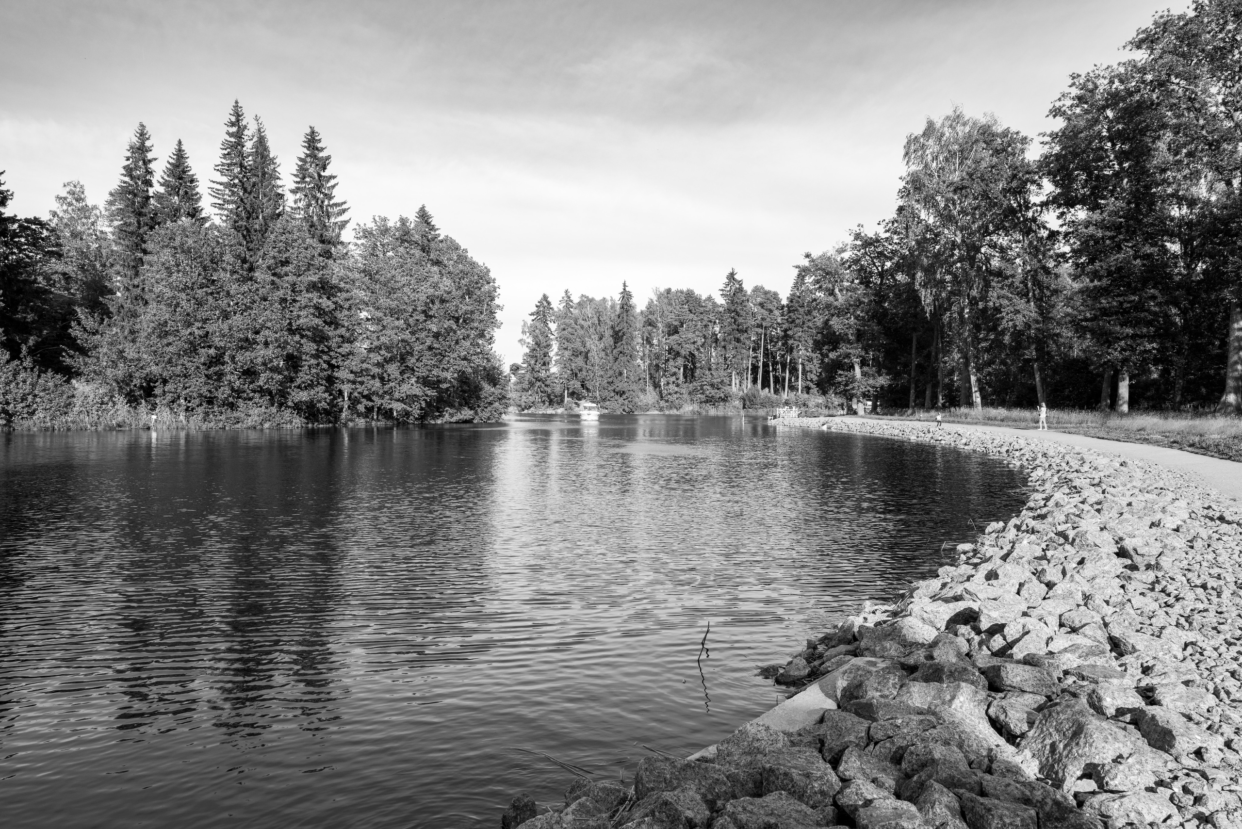 Парк Монрепо