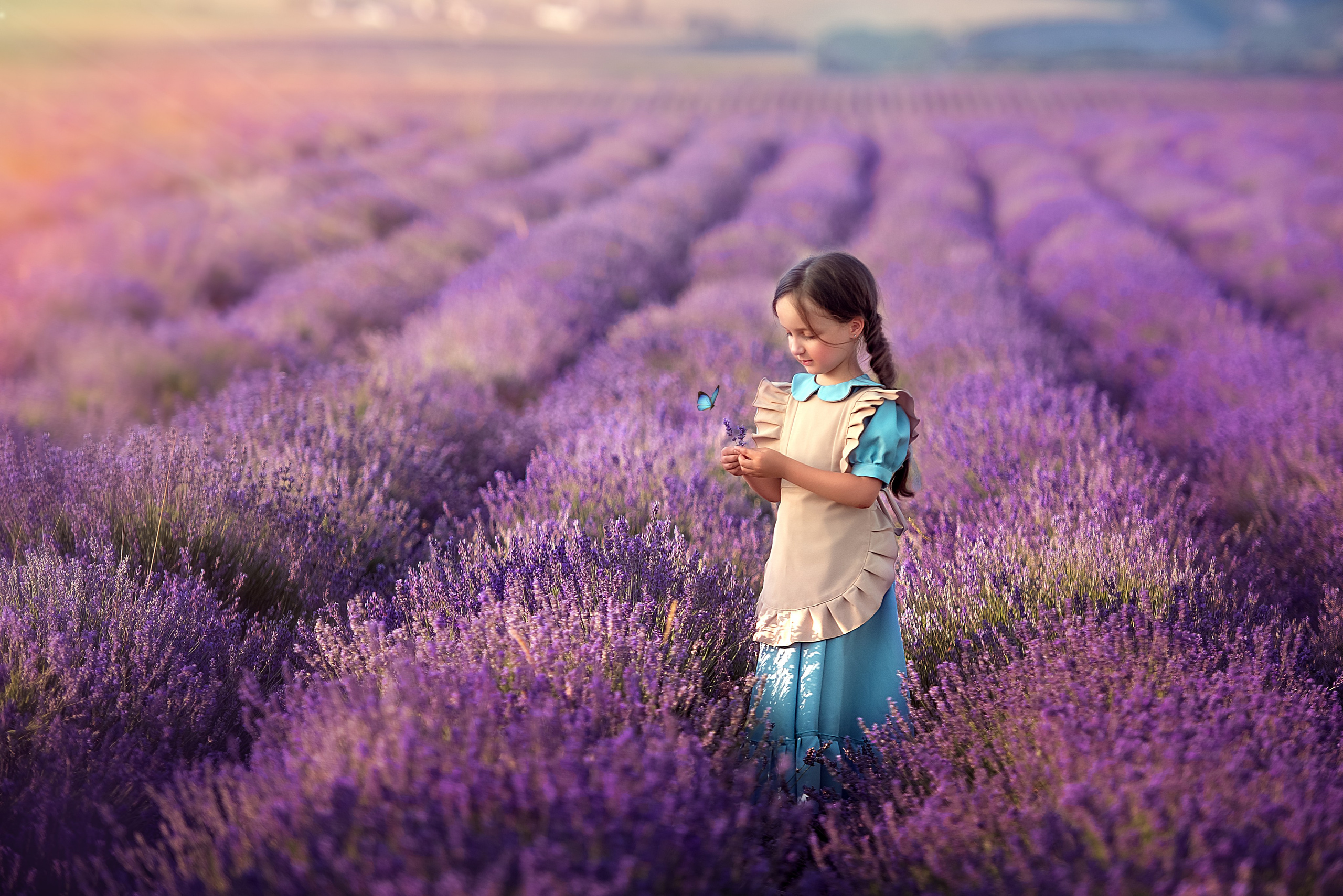 Урок ЛАВАНДА